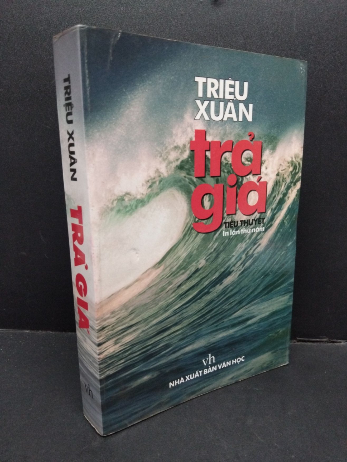 Trả giá mới 70% bẩn bìa, ố vàng 2004 HCM2110 Triệu Xuân VĂN HỌC (NSX)
