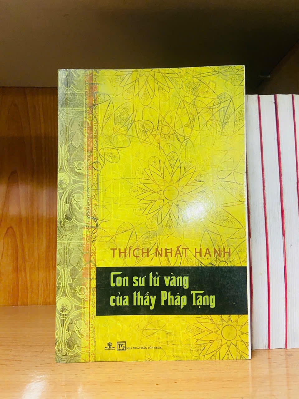 Con sư tử vàng của thầy Pháp Tạng / Thích Nhất Hạnh TÂM LINH - TÔN GIÁO - THIỀN VAVO1301
