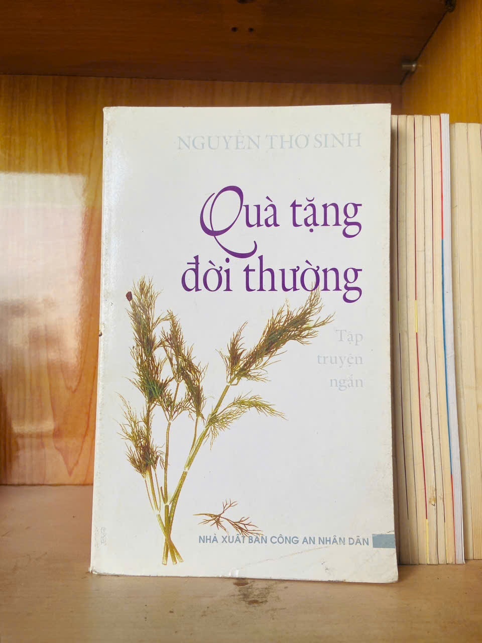 Quà tặng đời thường / Nguyễn Thơ Sinh - - KỸ NĂNG - VAVO3012