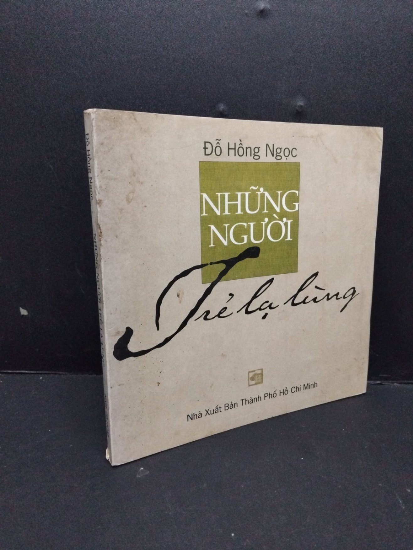 Những người trẻ lạ lùng mới 80% ố 2001 HCM2809 Đỗ Hồng Ngọc VĂN HỌC (NSX)