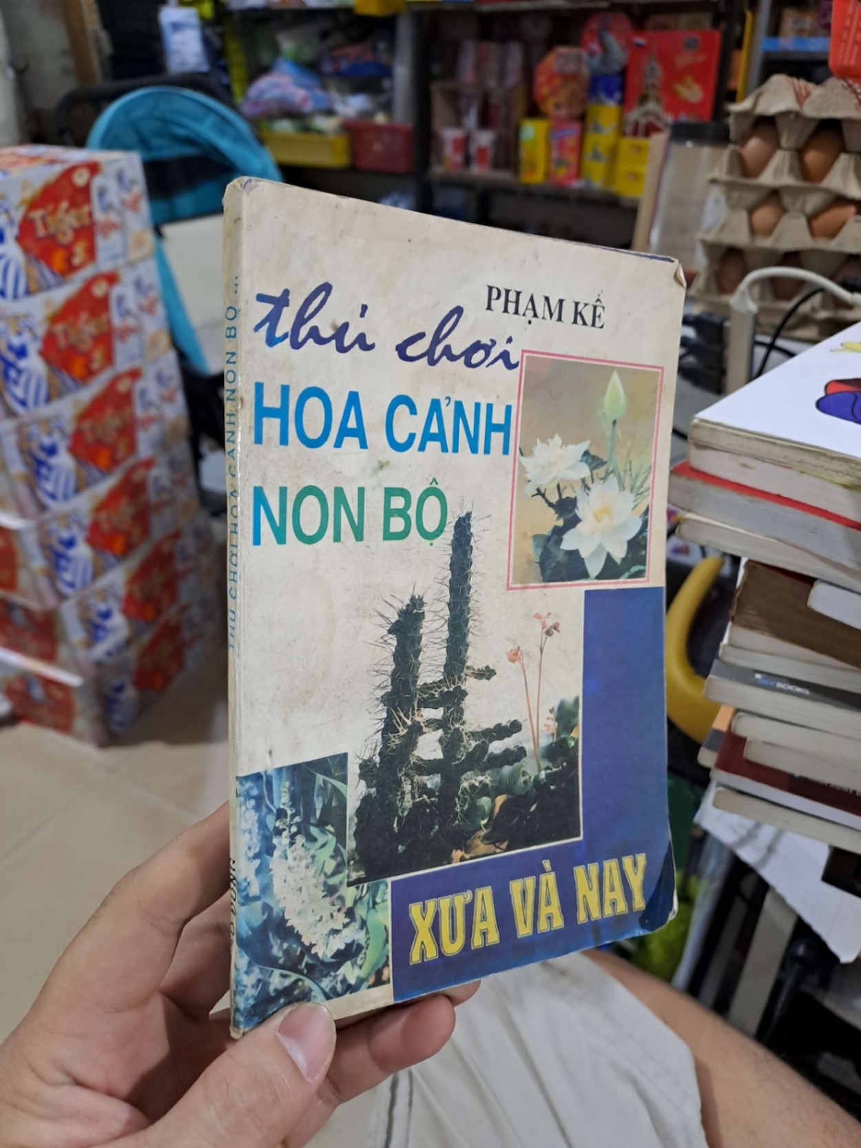 Thú Chơi Hoa Cảnh Non Bộ Xưa Và Nay - Phạm Kế - 1995 mới 80% ố - KỸ NĂNG - HCM3012 (NSX)
