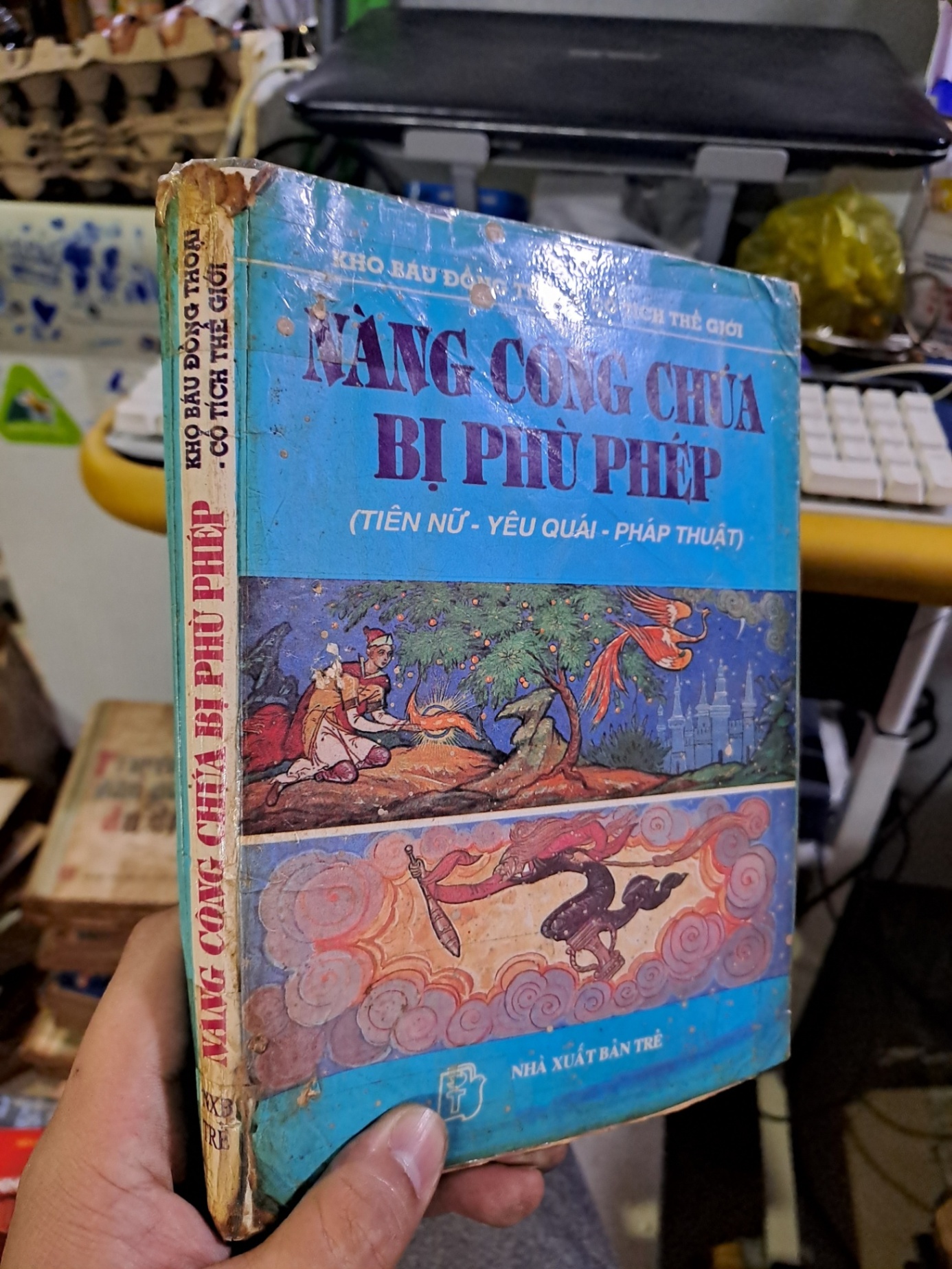 Nàng công chúa bị phù phép (Tiên nữ - yêu quái - pháp thuật) 1996 mới 70% ố bung trang Văn học nước ngoài HCM1709 (NSX)