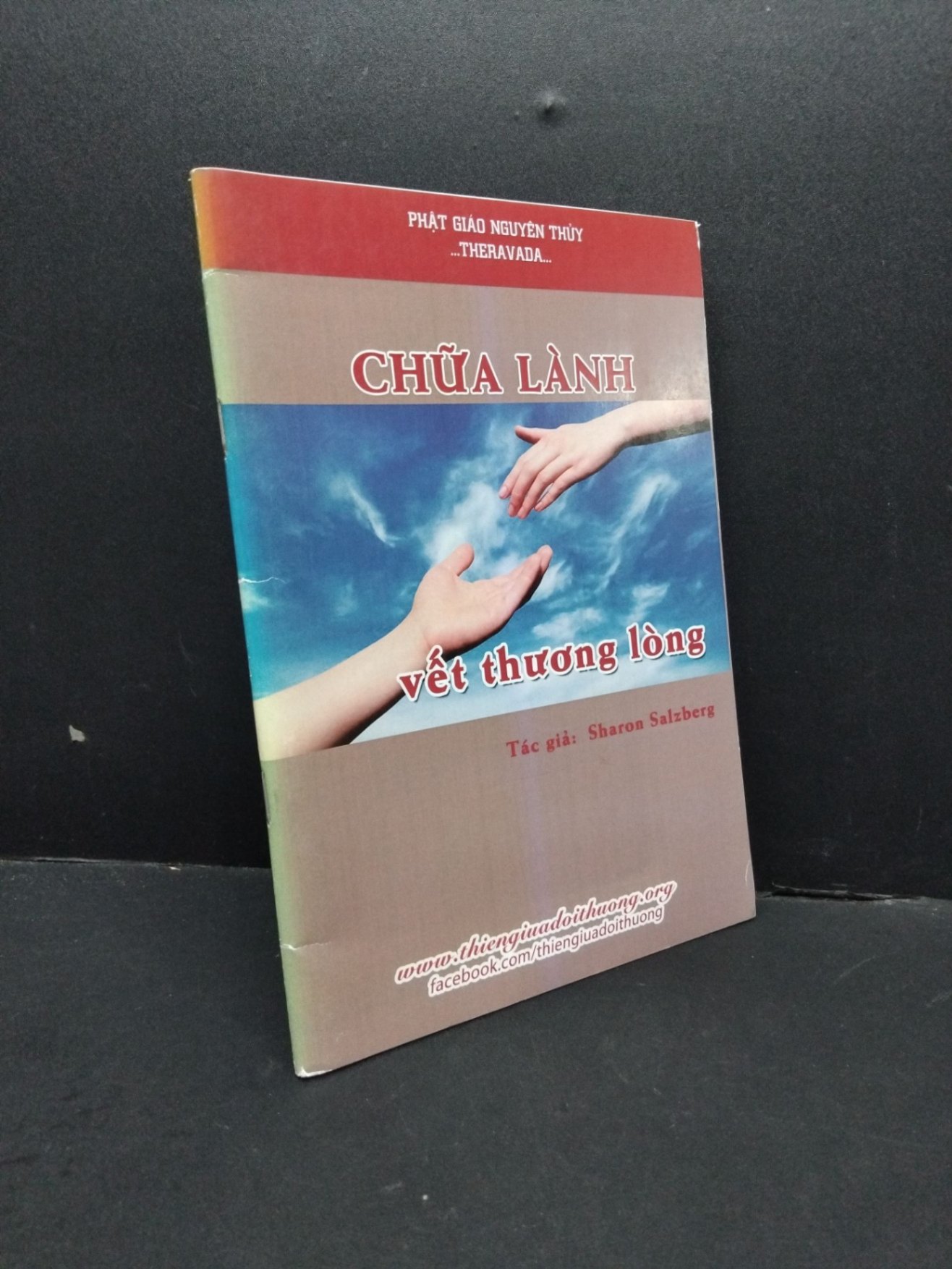 Chữa lành vết thương lòng mới 80% bẩn bìa, ố nhẹ HCM2410 Sharon Salzberg TÂM LINH - TÔN GIÁO - THIỀN (NSX)