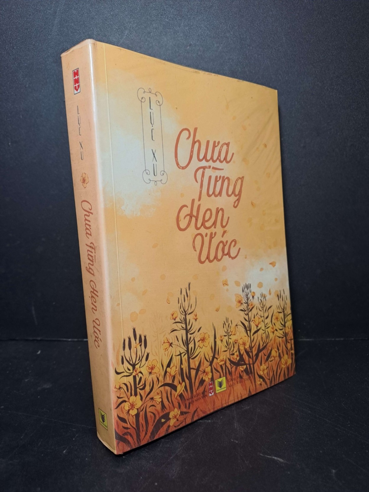 Chưa từng hẹn ước - Lục Xu 2015 mới 80% ố Truyện Ngôn Tình HCM2012-17 (NSX)