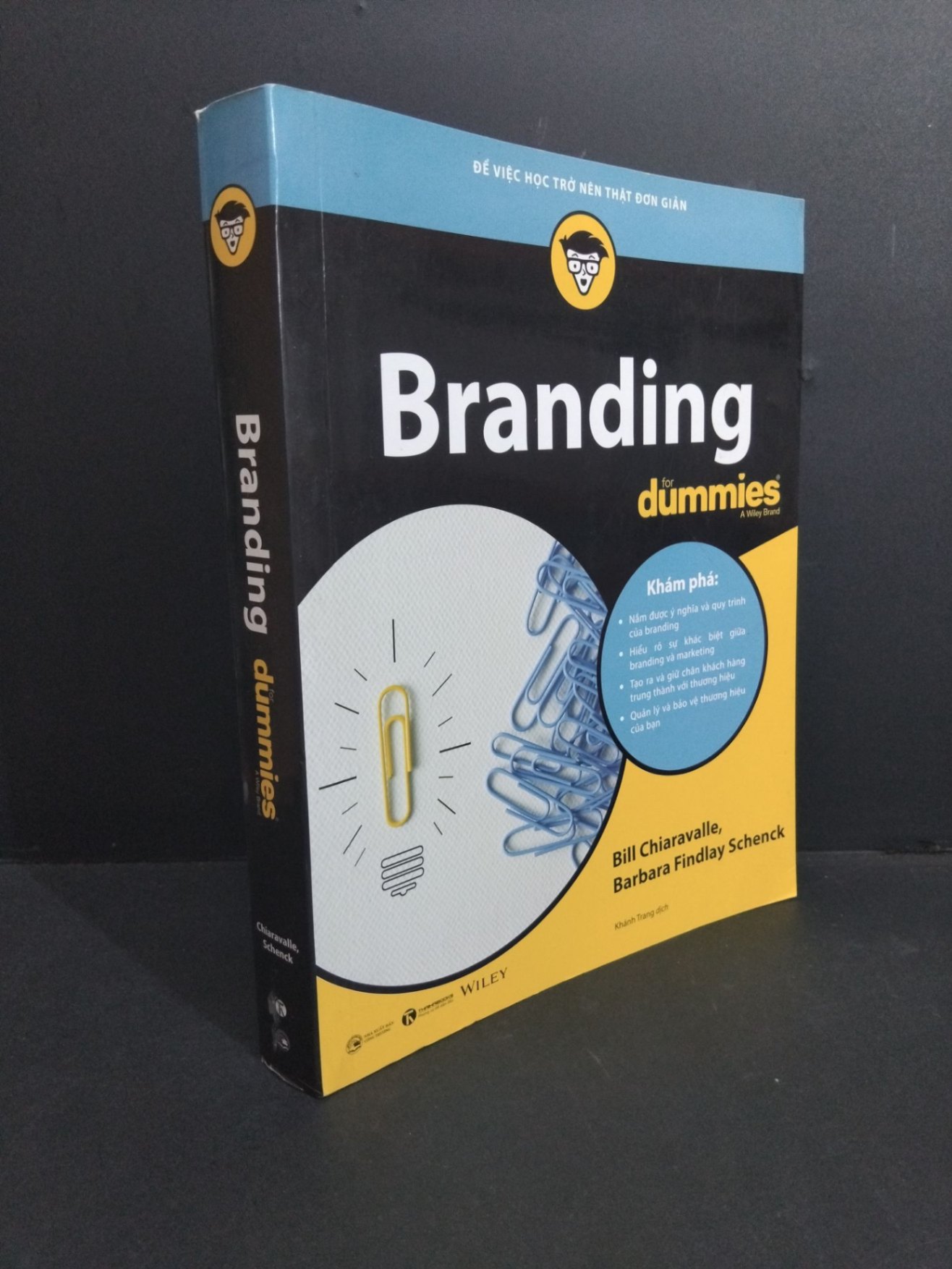 Branding for dummies a wiley brand mới 80% ố 2019 HCM2811 KỸ NĂNG (NSX)