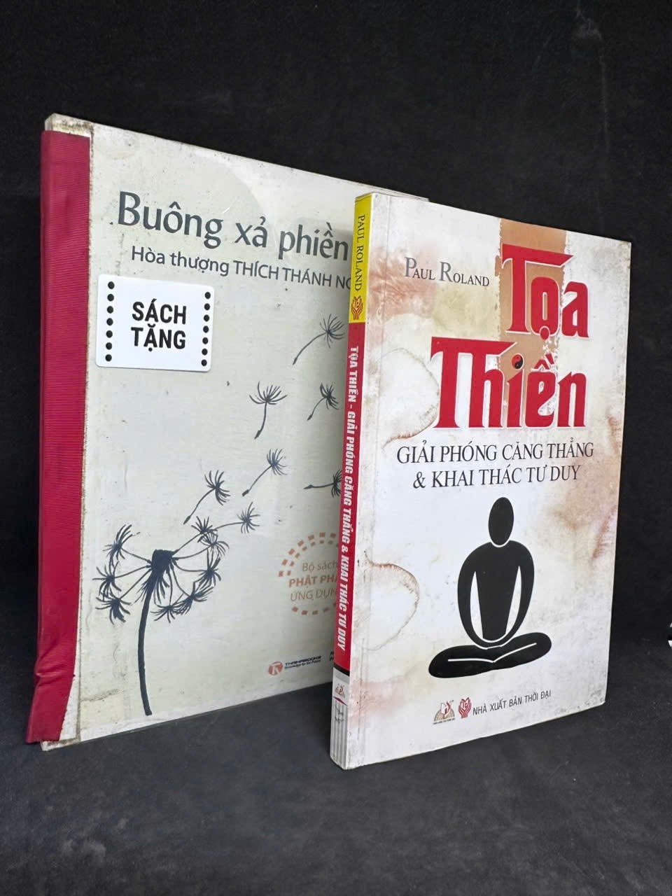 [Phiên Chợ Sách Cũ] Tọa Thiền - Giải Phóng Căng Thẳng & Khai Thác Tư Duy, 2011 - Paul Roland H1108 SBM