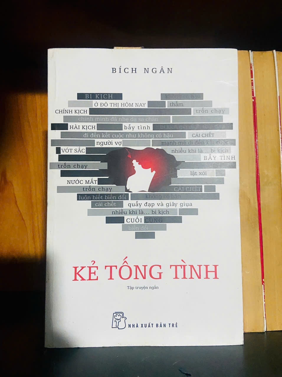 Kẻ tống tình / Bích Ngân VĂN HỌC VAVO2012-54
