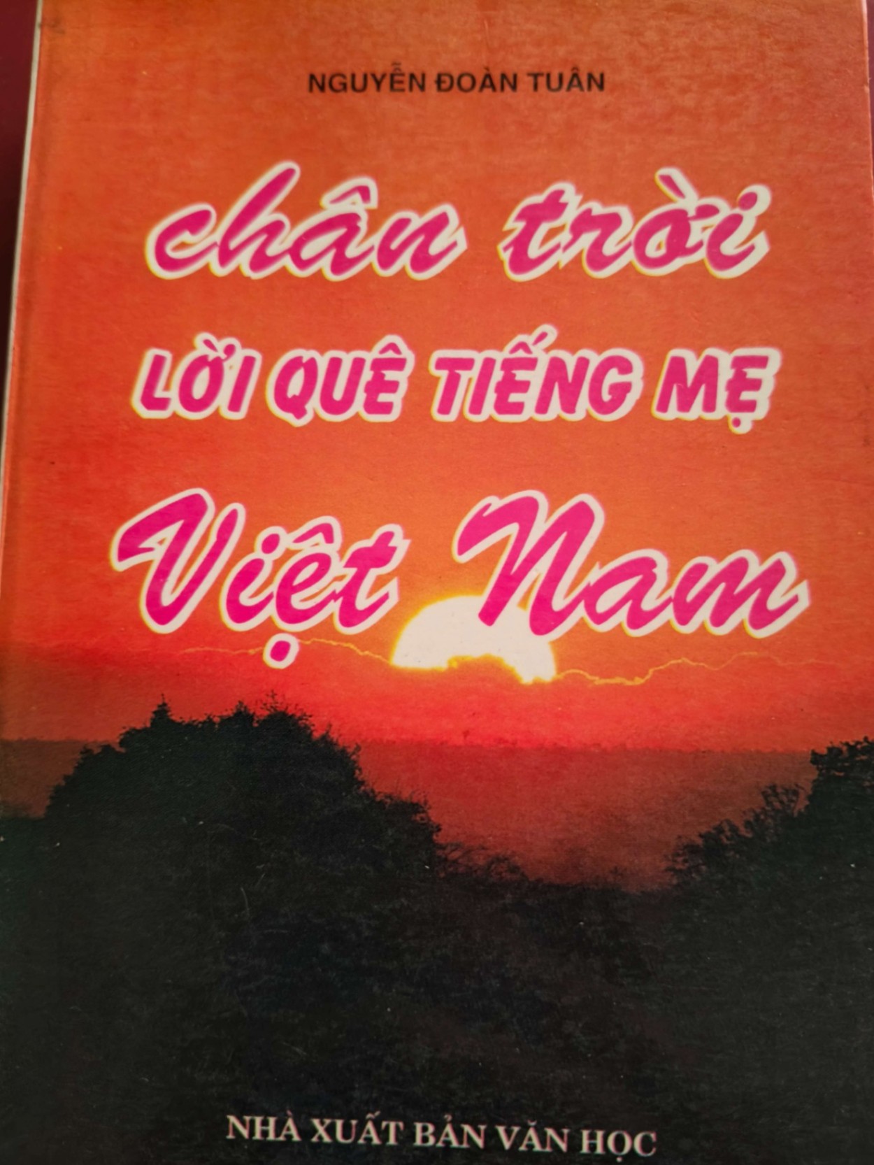 CHÂN TRỜI LỜI QUÊ TIẾNG MẸ VIỆT NAM  - NGUYỄN ĐOÀN TUÂN - 1997 - 392 trang LỊCH SỬ - CHÍNH TRỊ - TRIẾT HỌC ANTQ0709