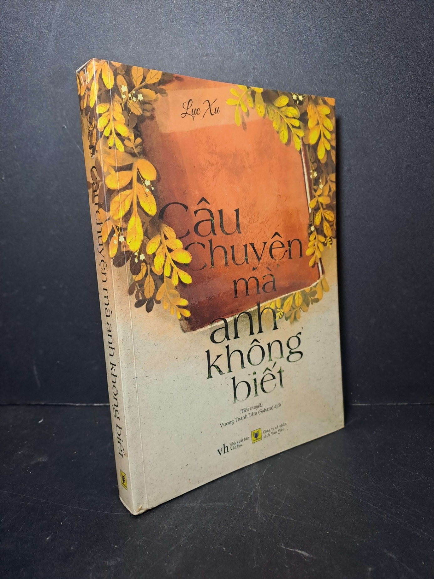 Câu chuyện mà anh không biết - Lục Xu 2015 mới 90% Truyện Ngôn Tình HCM2012-37 (NSX)