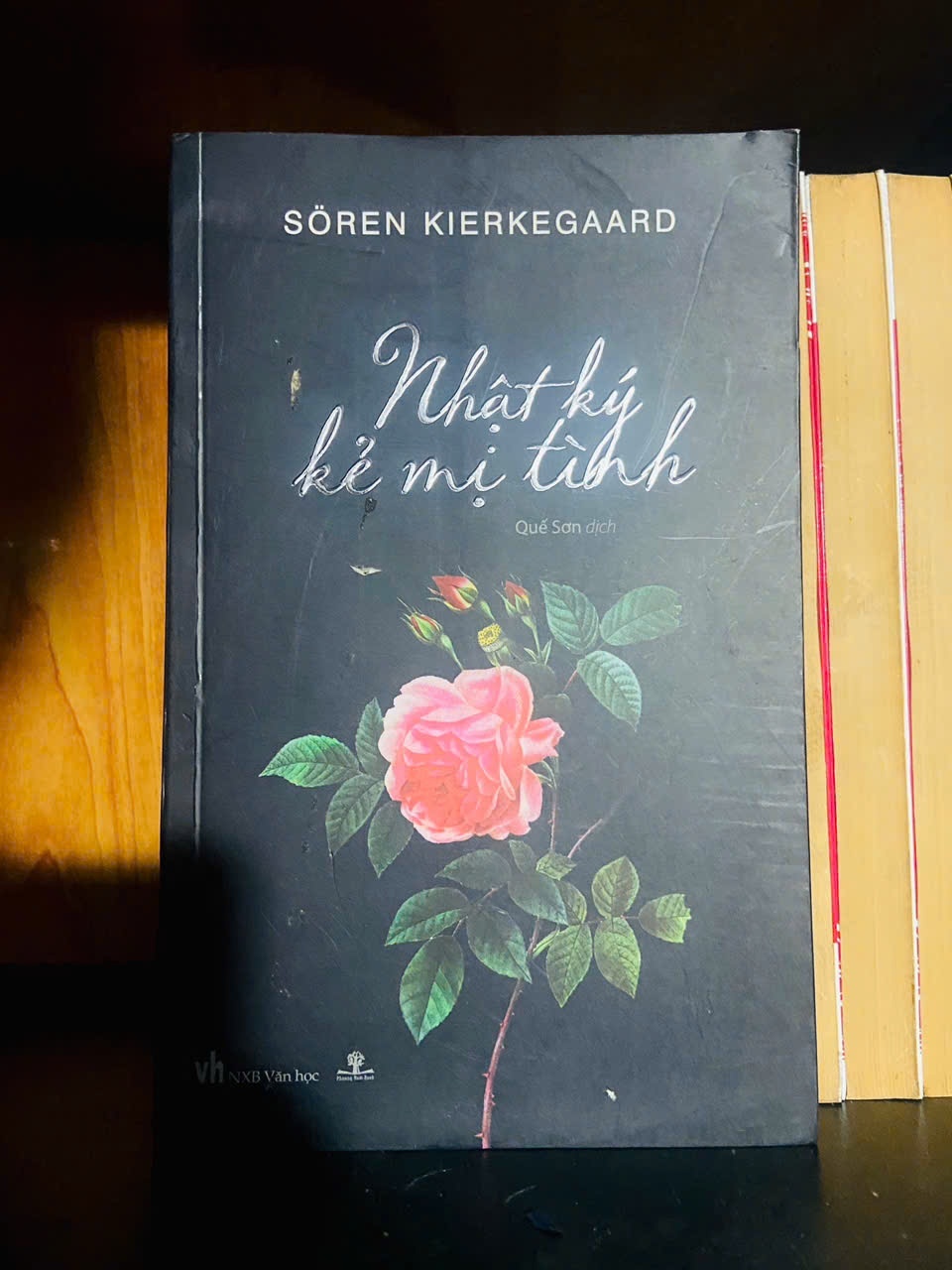 Nhật ký kẻ mị tình / Soren Kierkegaard VĂN HỌC VAVO2012-67