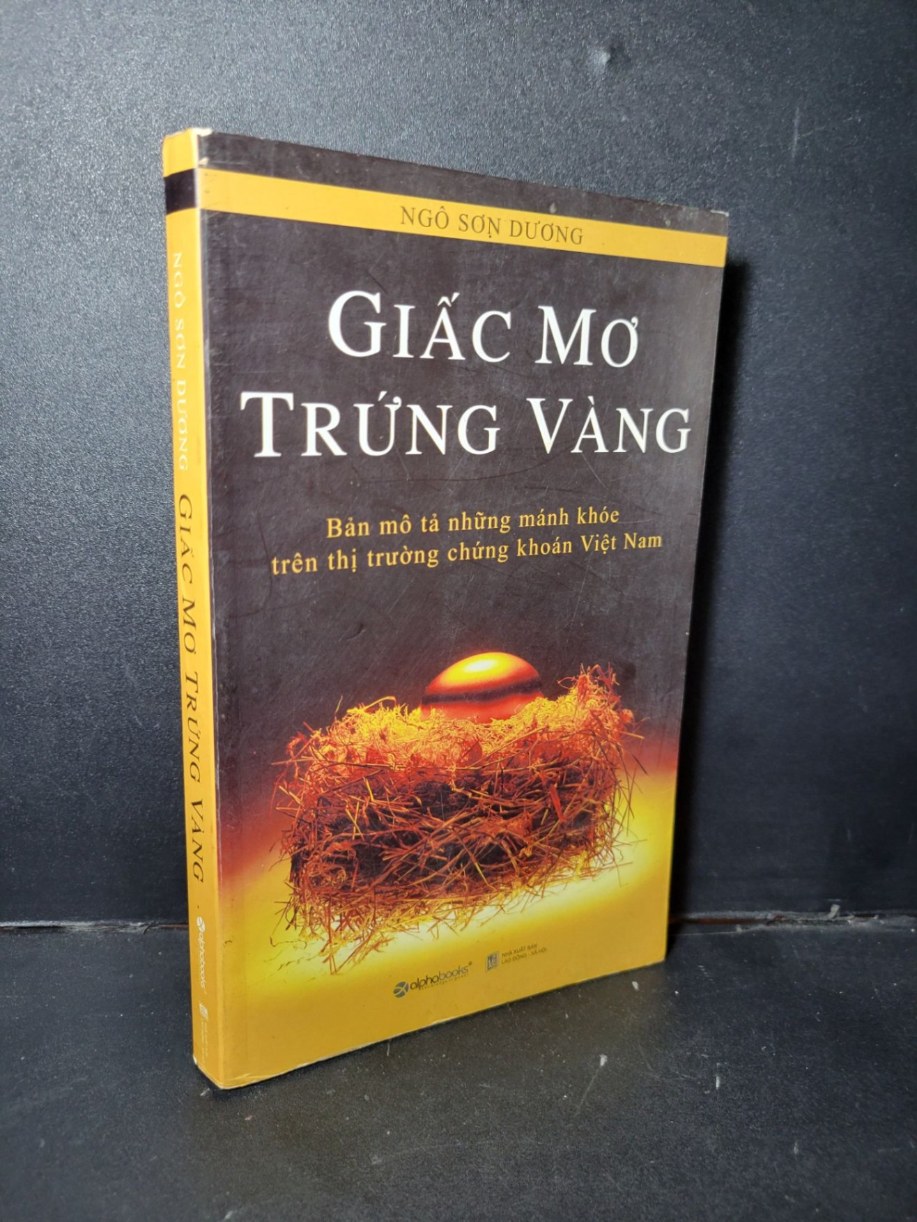 Giấc mơ trứng vàng mới 80% ố bẩn góc 2010 HCM1001 Ngô Sơn Dương MARKETING KINH DOANH (NSX)