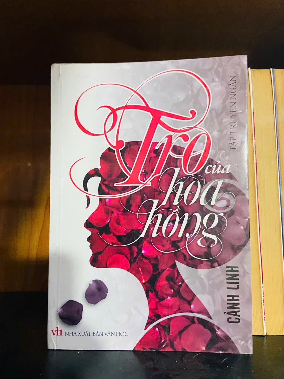 Tro của hoa hồng - Cảnh Linh - VĂN HỌC - VAVO1211