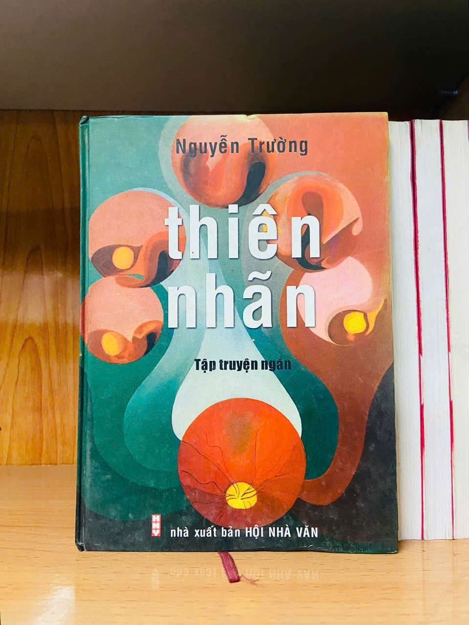 Thiên nhãn - Nguyễn Trường VĂN HỌC VAVO0810