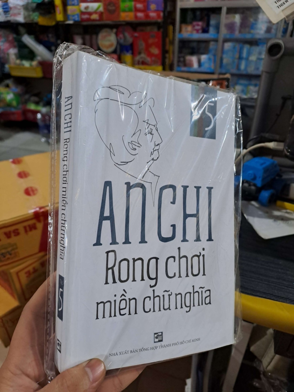 Rong Chơi Miền Chữ Nghĩa Tập 5 - An Chi - mới 90% - VĂN HỌC - HMT3012 (NSX)