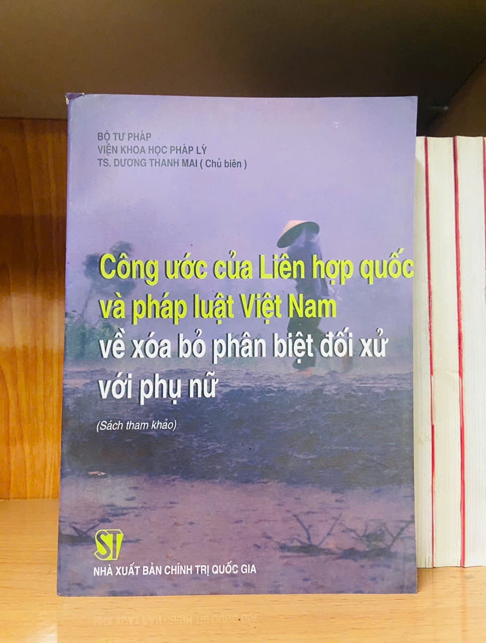 Công ước của Liên Hợp Quốc và pháp luật Việt Nam về xóa bỏ phân biệt đối xử với phụ nữ - GIÁO TRÌNH, CHUYÊN MÔN - VAVO1211