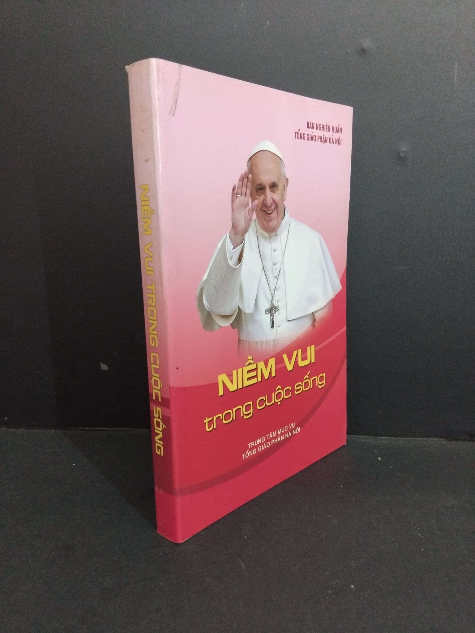 Niềm vui trong cuộc sống mới 90% ố HCM2811 TÂM LINH - TÔN GIÁO - THIỀN (NSX)