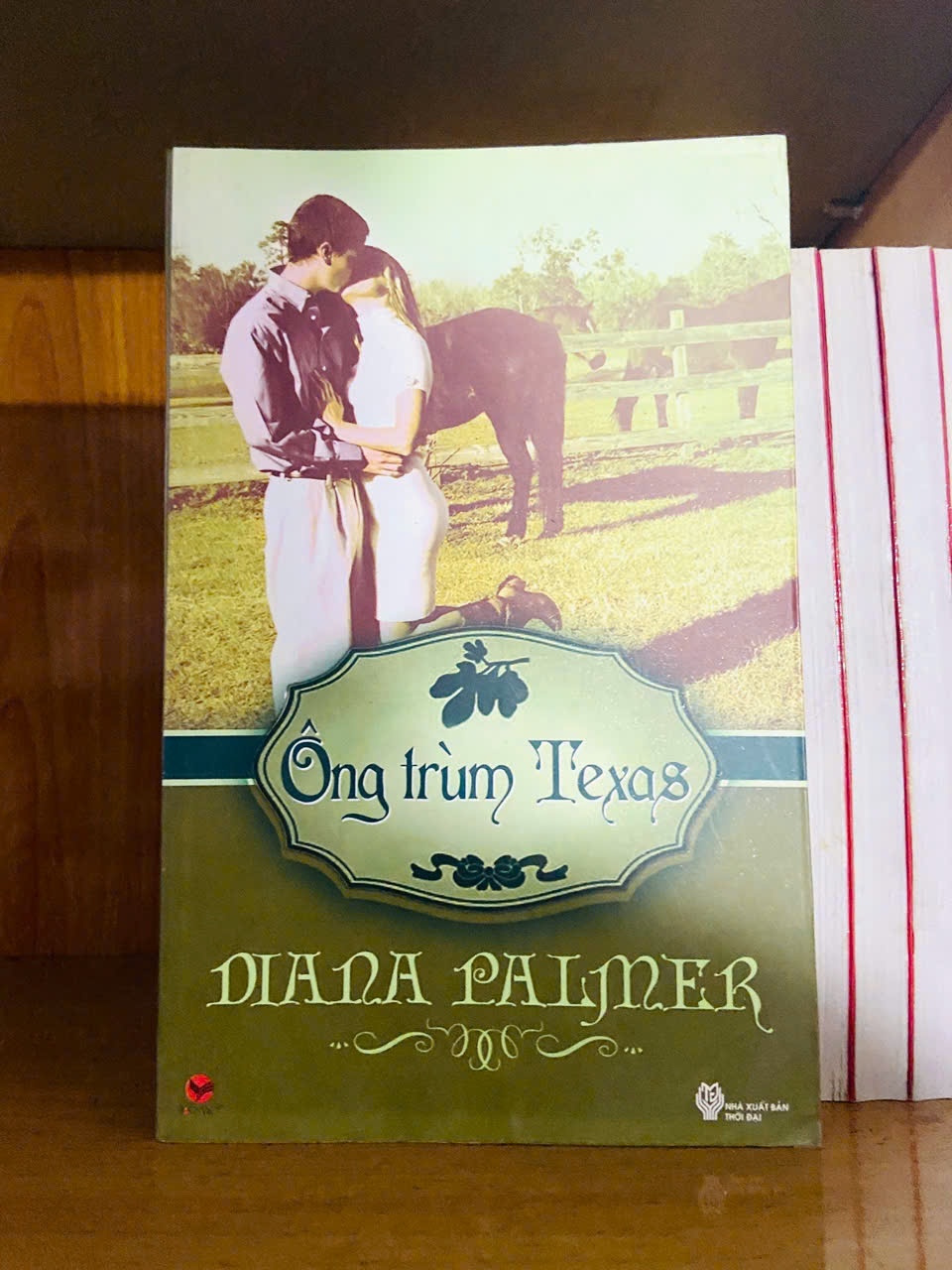 Ông trùm Texas / Diana Palmer VĂN HỌC VAVO1301