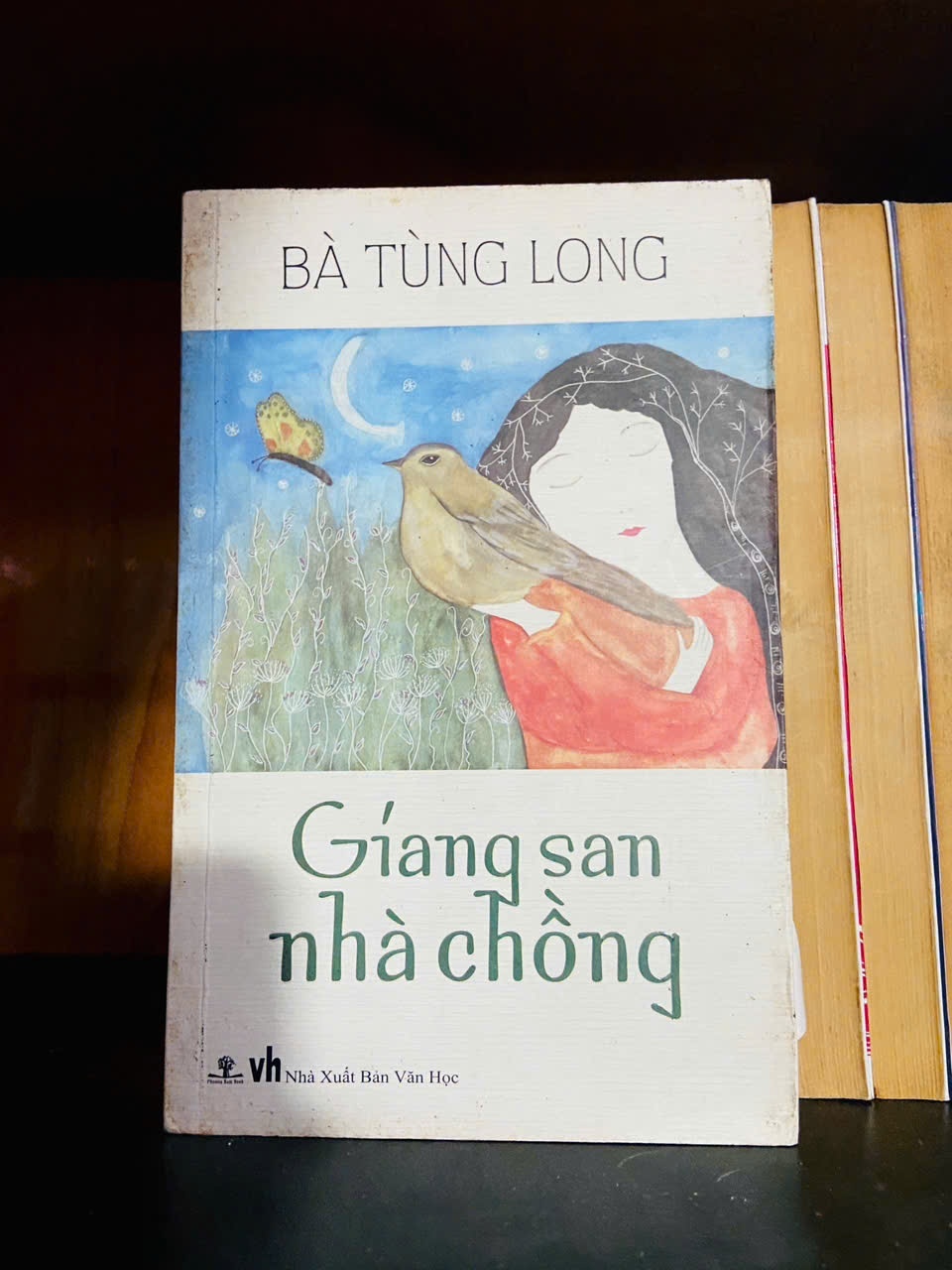 Giang san nhà chồng - Bà Tùng Long - VĂN HỌC - VAVO1211
