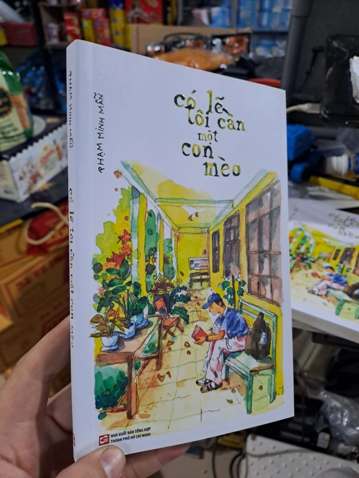 Có Lẽ Tôi Cần Một Con Mèo - Phạm Minh Mẫn - 2024 mới 90% - VĂN HỌC - HMT3012