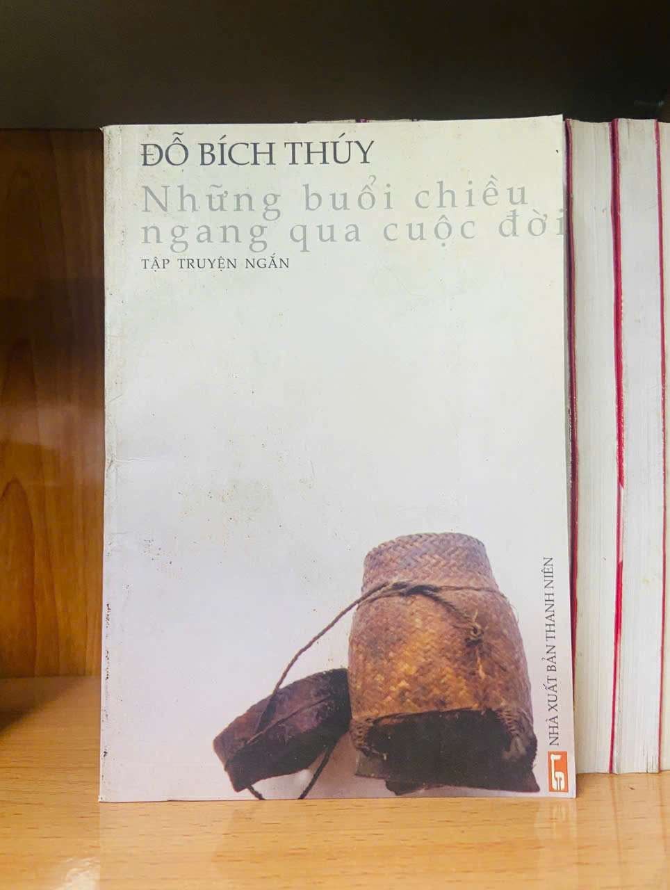 Những buổi chiều ngang qua cuộc đời - Đỗ Bích Thủy VĂN HỌC VAVO0810