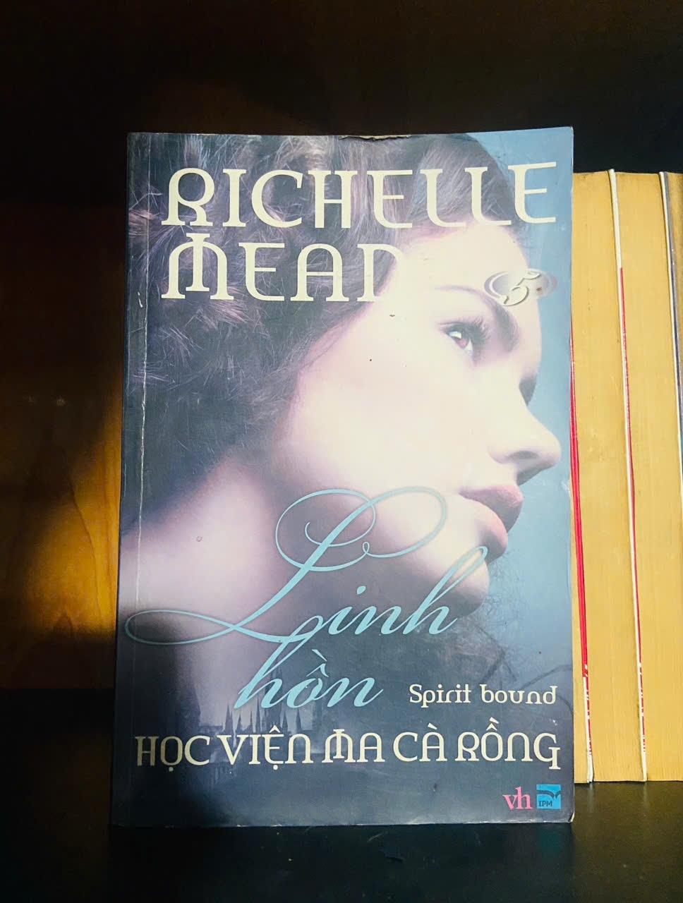 Linh hồn / Richelle Mead VĂN HỌC VAVO2012-62