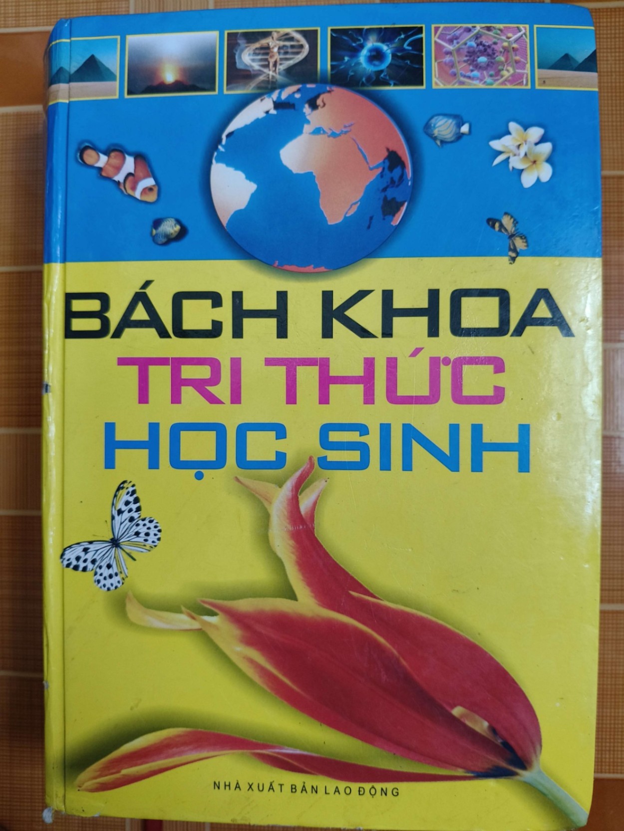 Bách khoa tri thức học sinh L6 - 2011 - 1504 trang LỊCH SỬ - CHÍNH TRỊ - TRIẾT HỌC ANTQ2012-188