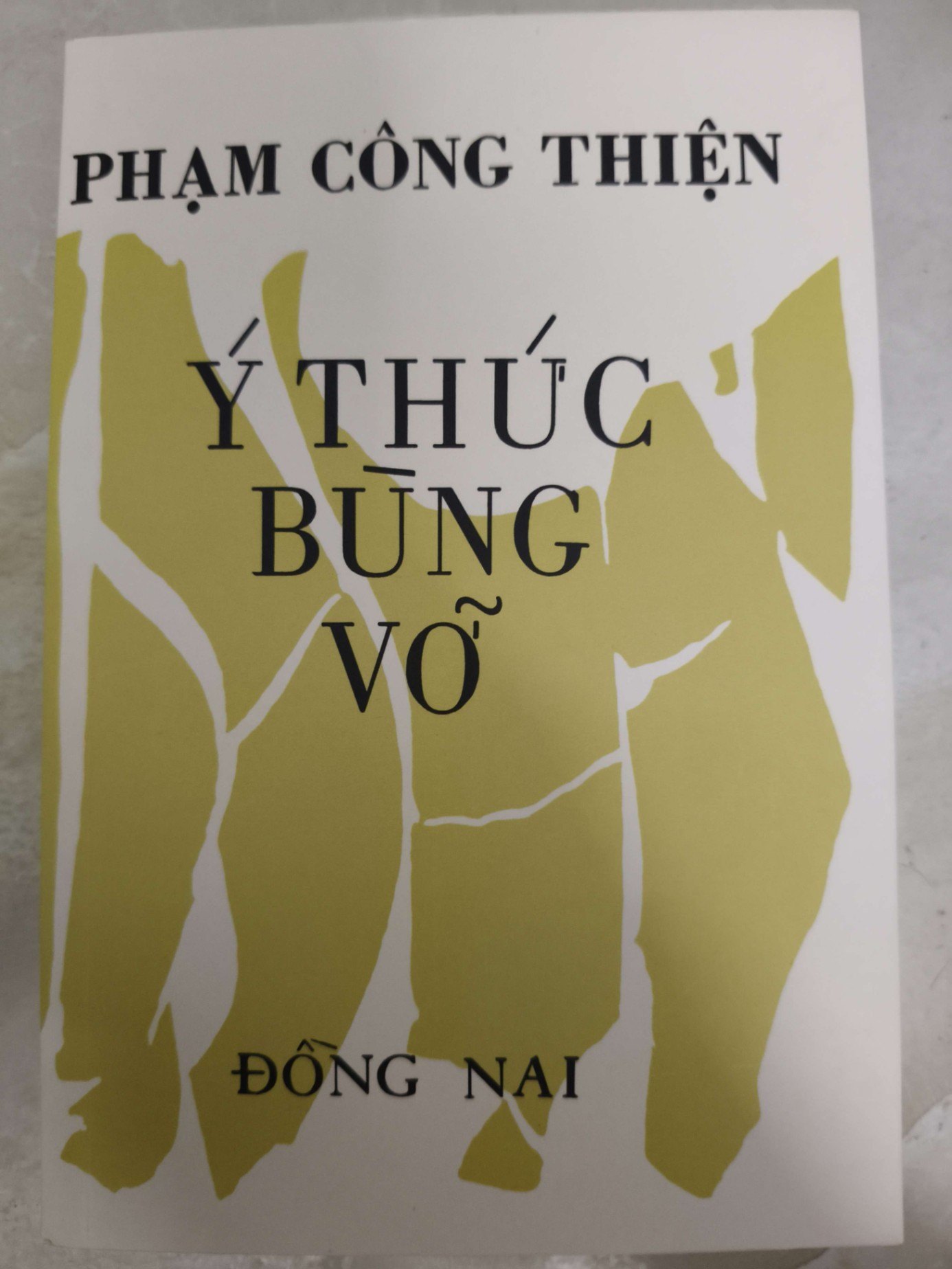 Remake Ý thức bùng vỡ - 535 trang - LỊCH SỬ - CHÍNH TRỊ - TRIẾT HỌC - ANTQ2011-19
