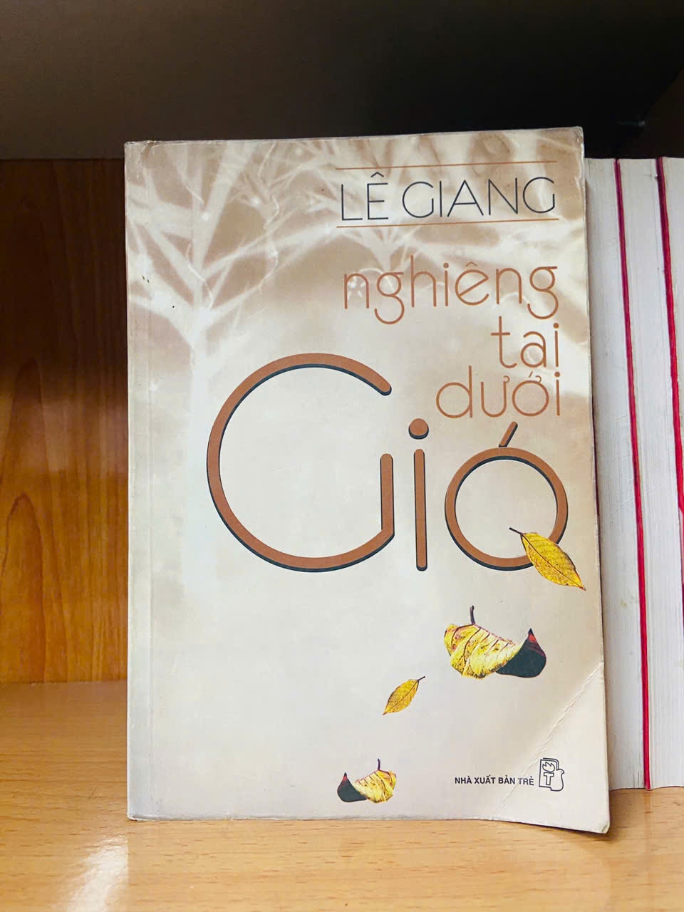 Nghiêng tai dưới Gió / Lê Giang Sách văn học VAVO3101