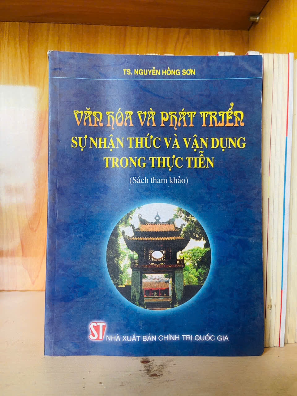 Văn hóa và phát triển sự nhận thức và vận dụng trong thực tiễn / Nguyễn Hồng Sơn Sách giáo khoa - giáo trình VAVO3101