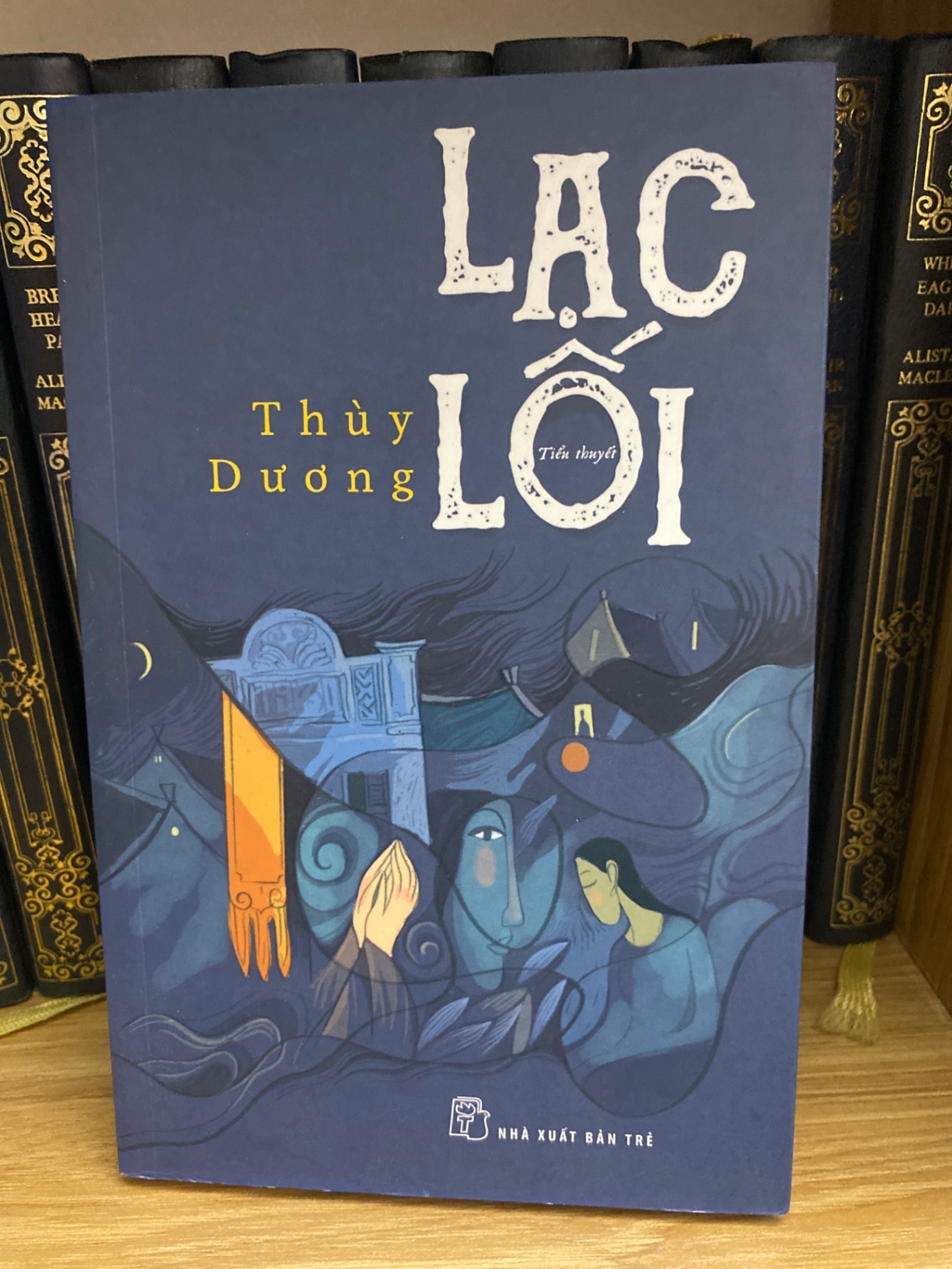 Lạc Lối- Thuỳ Dương Sách văn học STB0302