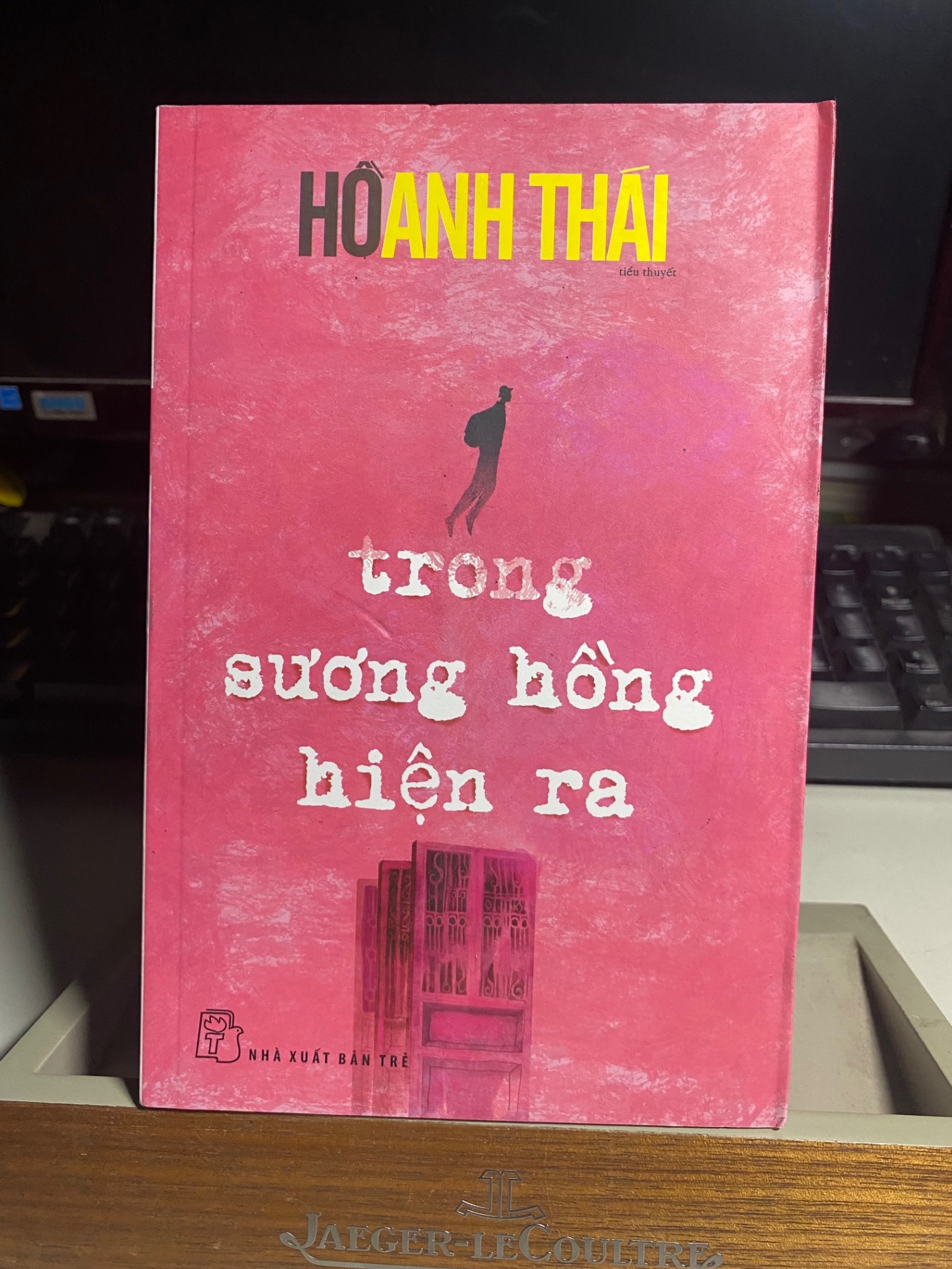Trong sương hồng hiện ra - Hồ Anh Thái Sách văn học STB0302