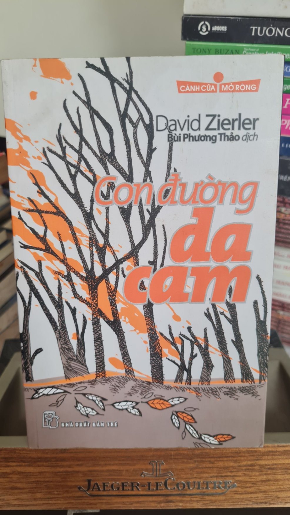 Con đường da cam - David Zierher Sách văn học STB0302
