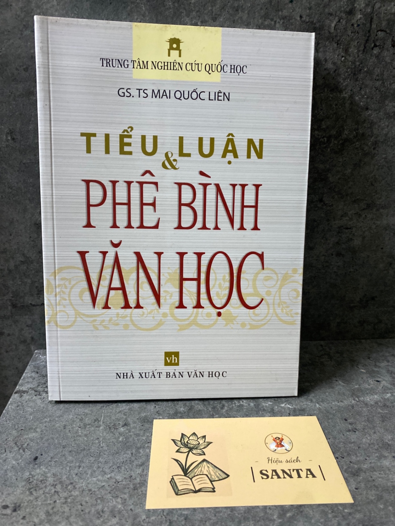 Tiểu luận và phê bình văn học- Mai Quốc Liên Sách văn học STB0302
