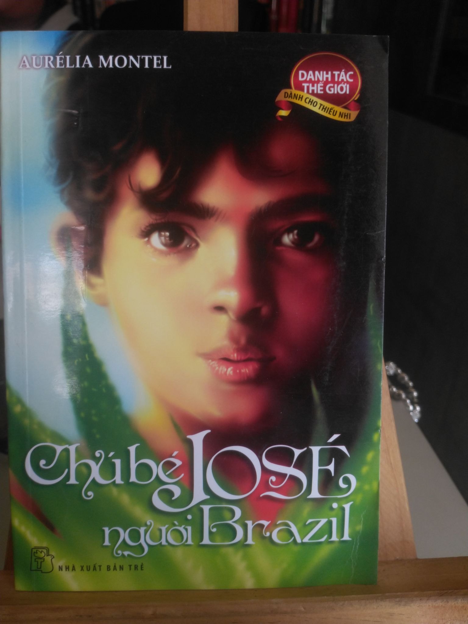 Chú bé Jose Người Brazil - Aurelia Montel Sách văn học STB0302