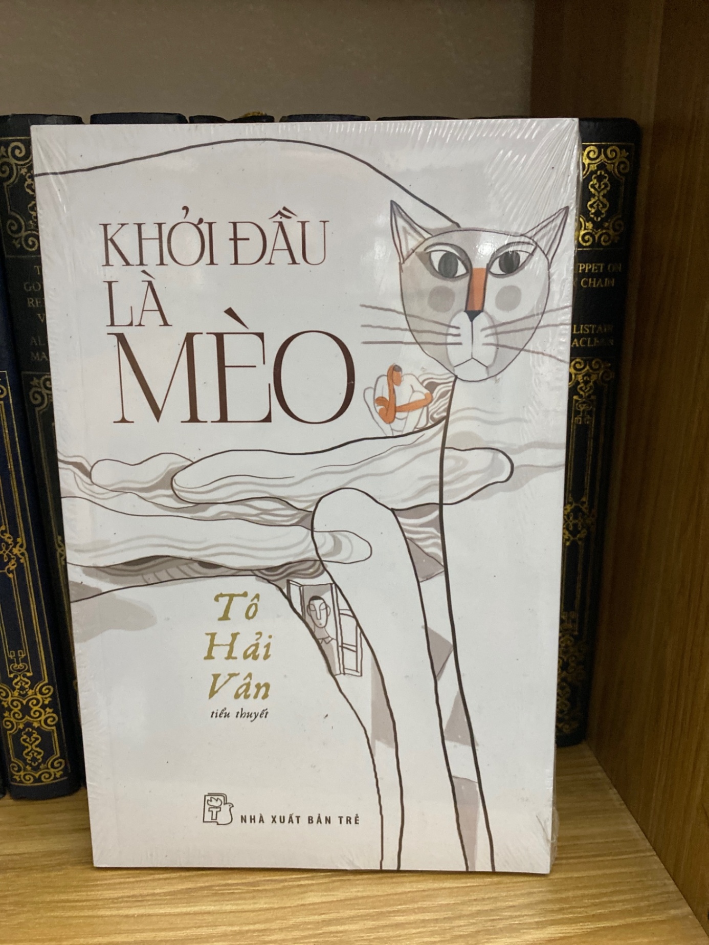 Khởi đầu là Mèo- Tô Hải Vân Sách văn học STB0302