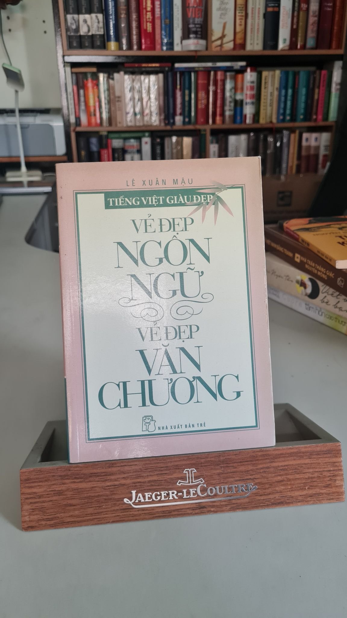 Vẻ đẹp ngôn ngữ vẻ đẹp văn chương - Lê Xuân Mậu Sách văn học STB0302