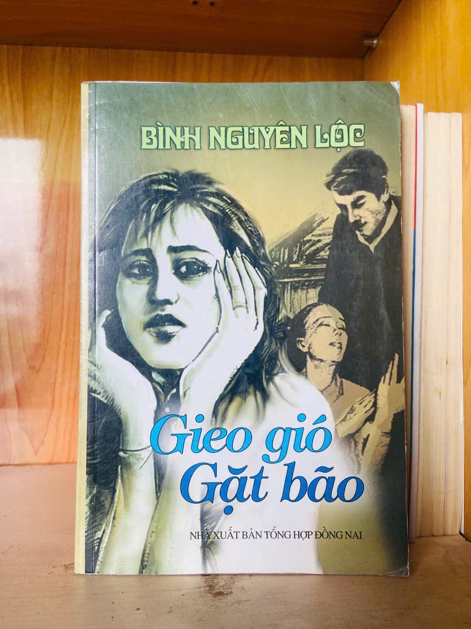Gieo gió gặt bão / Bình Nguyên Lộc Sách văn học VAVO3101