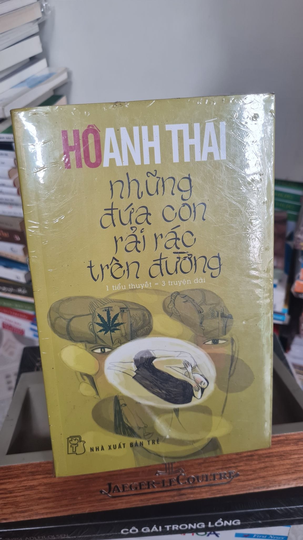 Những đứa con rải rác trên đường - Hồ Anh Thái Sách văn học STB0302