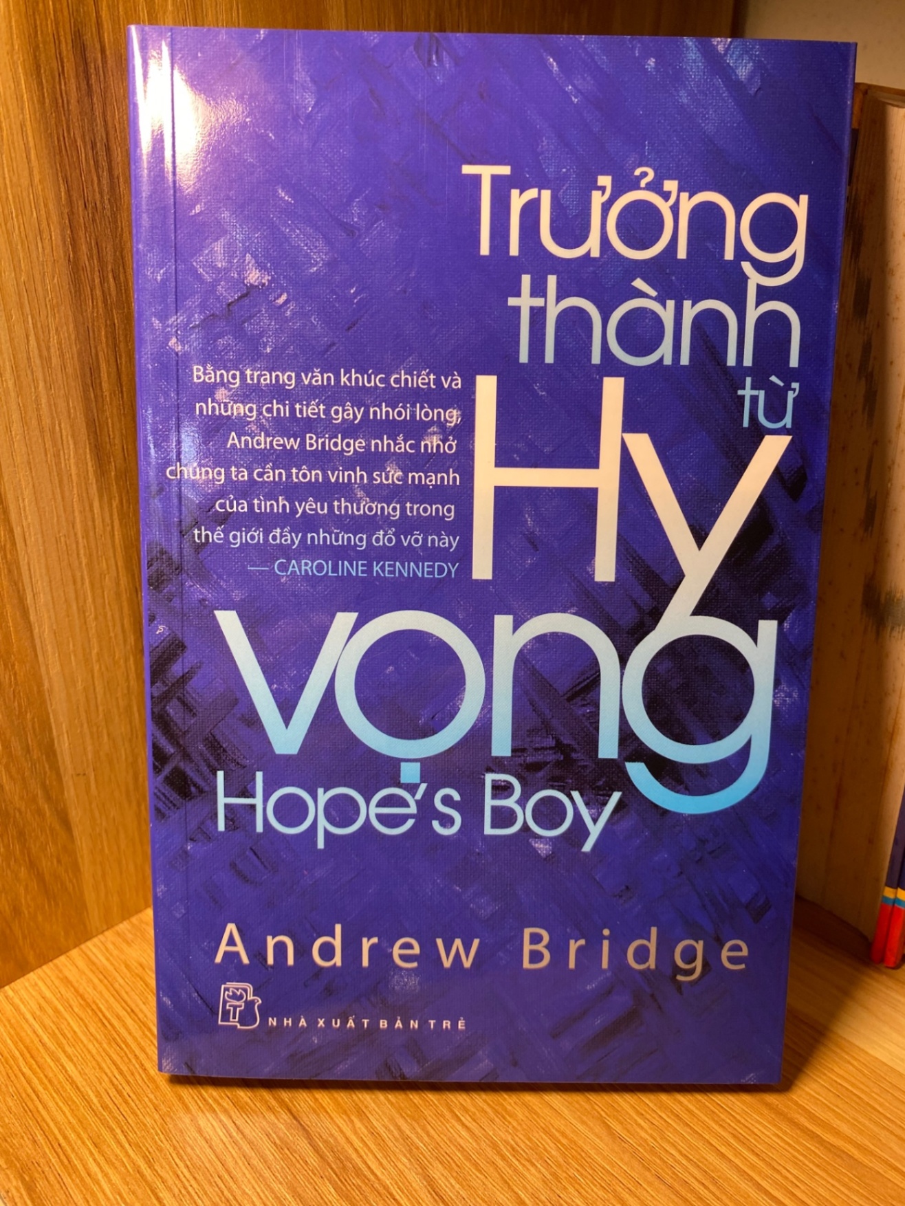 TRƯỞNG THÀNH TỪ HI VỌNG - Andrew Bridge Sách tâm lý học - giới tính STB0302