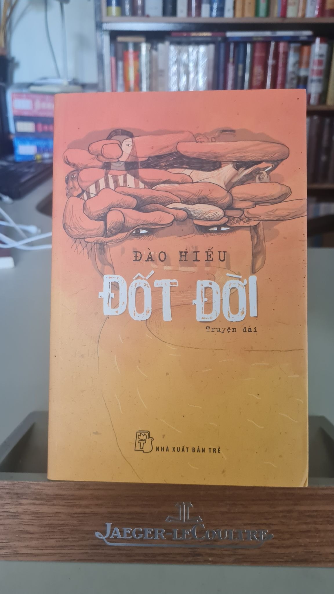 Đốt đời - Đào Hiếu Sách văn học STB0302