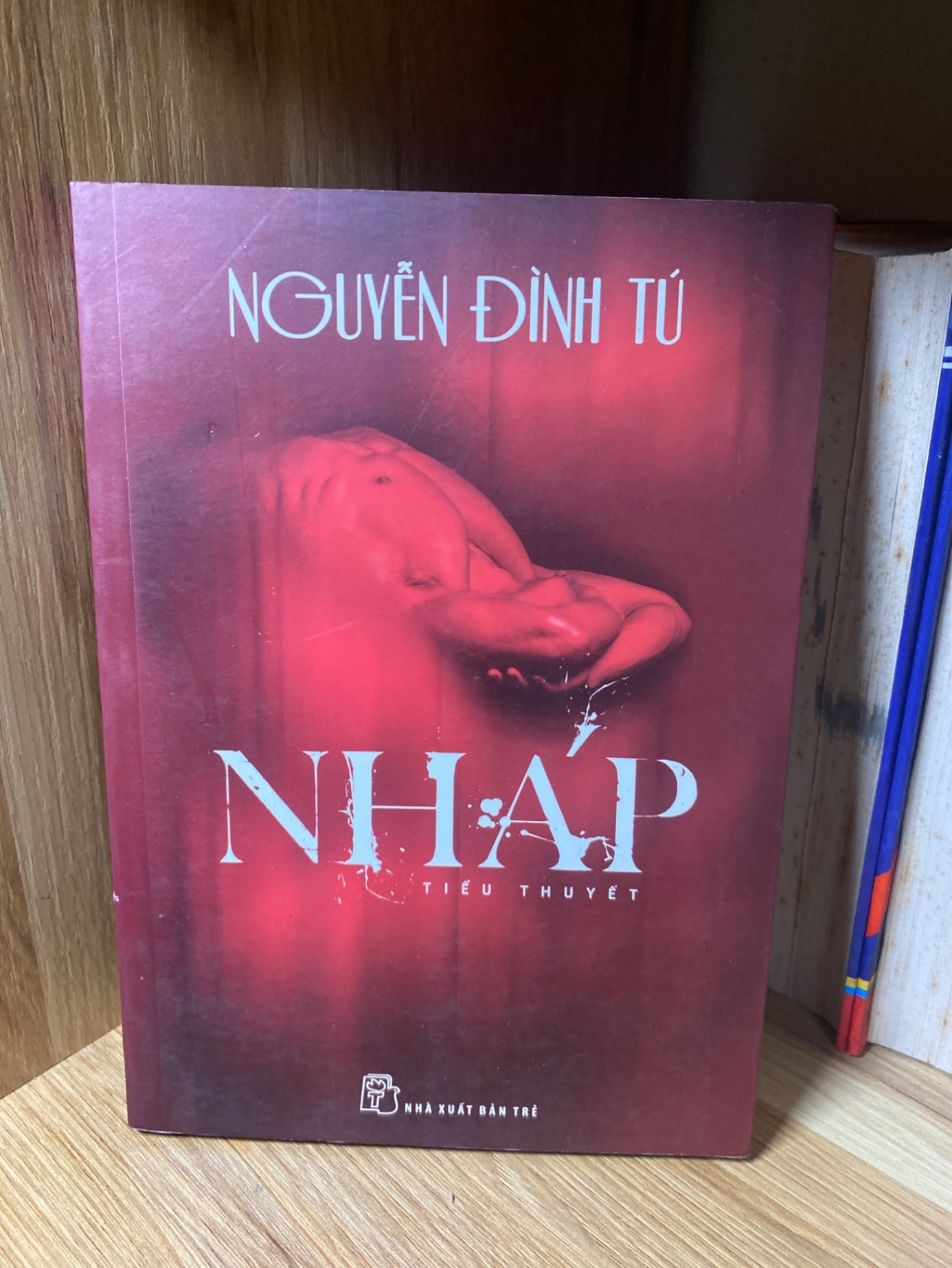 Nháp - Nguyễn Đình Tú Sách văn học STB0302