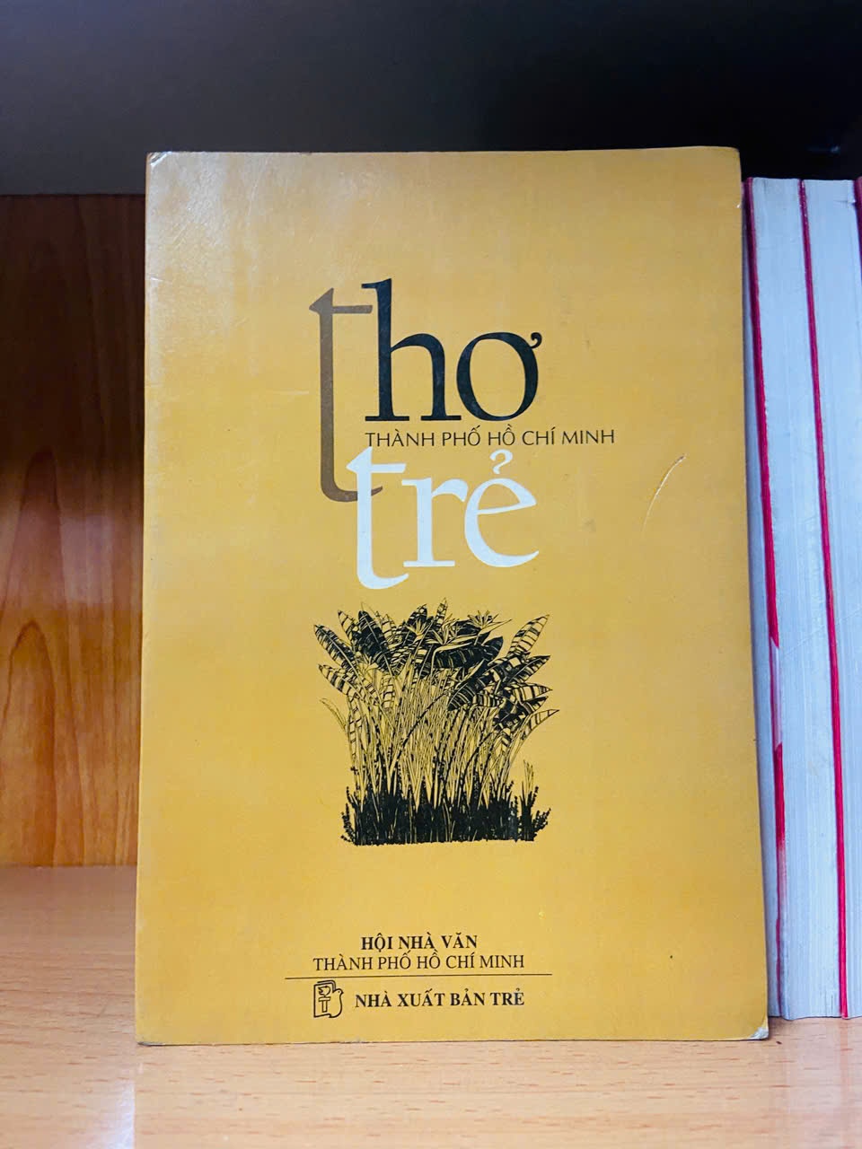 Thơ trẻ thành phố Hồ Chí Minh Sách văn học VAVO3101