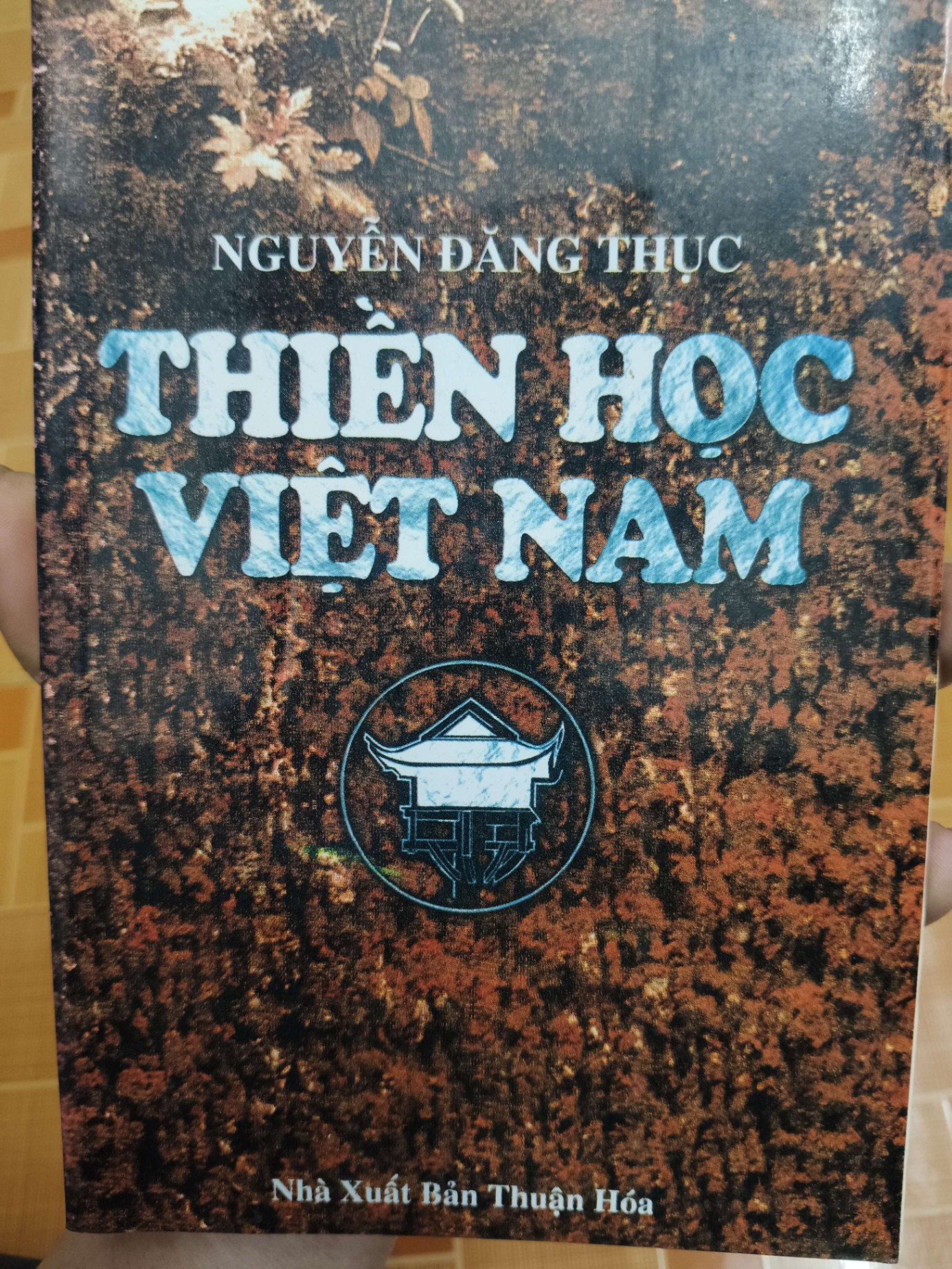 Thiền học Việt Nam - 1997 - 390 trang Sách lịch sử - triết học ANTQ3101