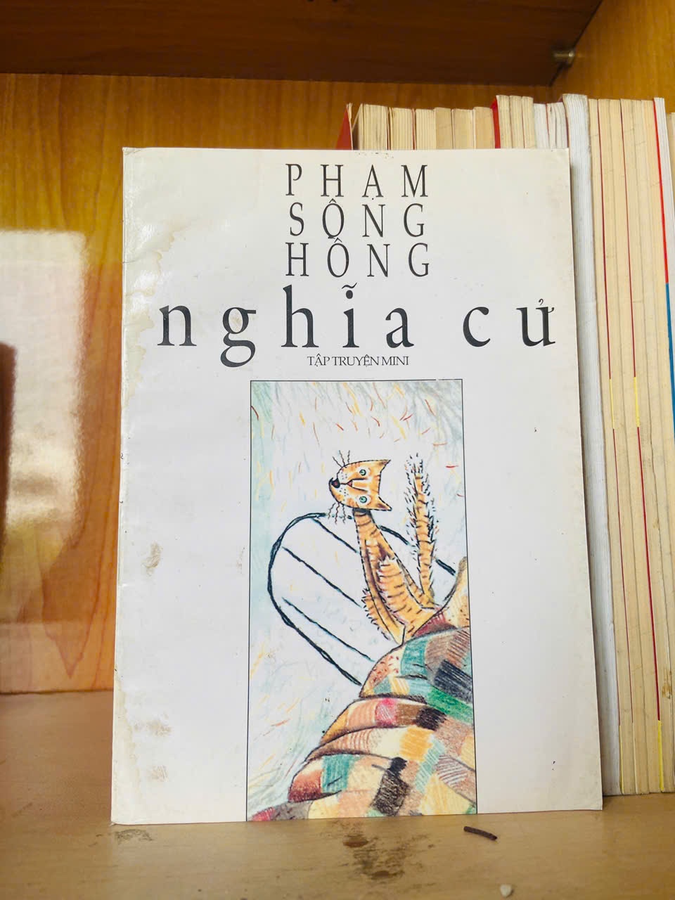 Nghĩa cử / Phạm Sông Hồng Sách văn học VAVO3101