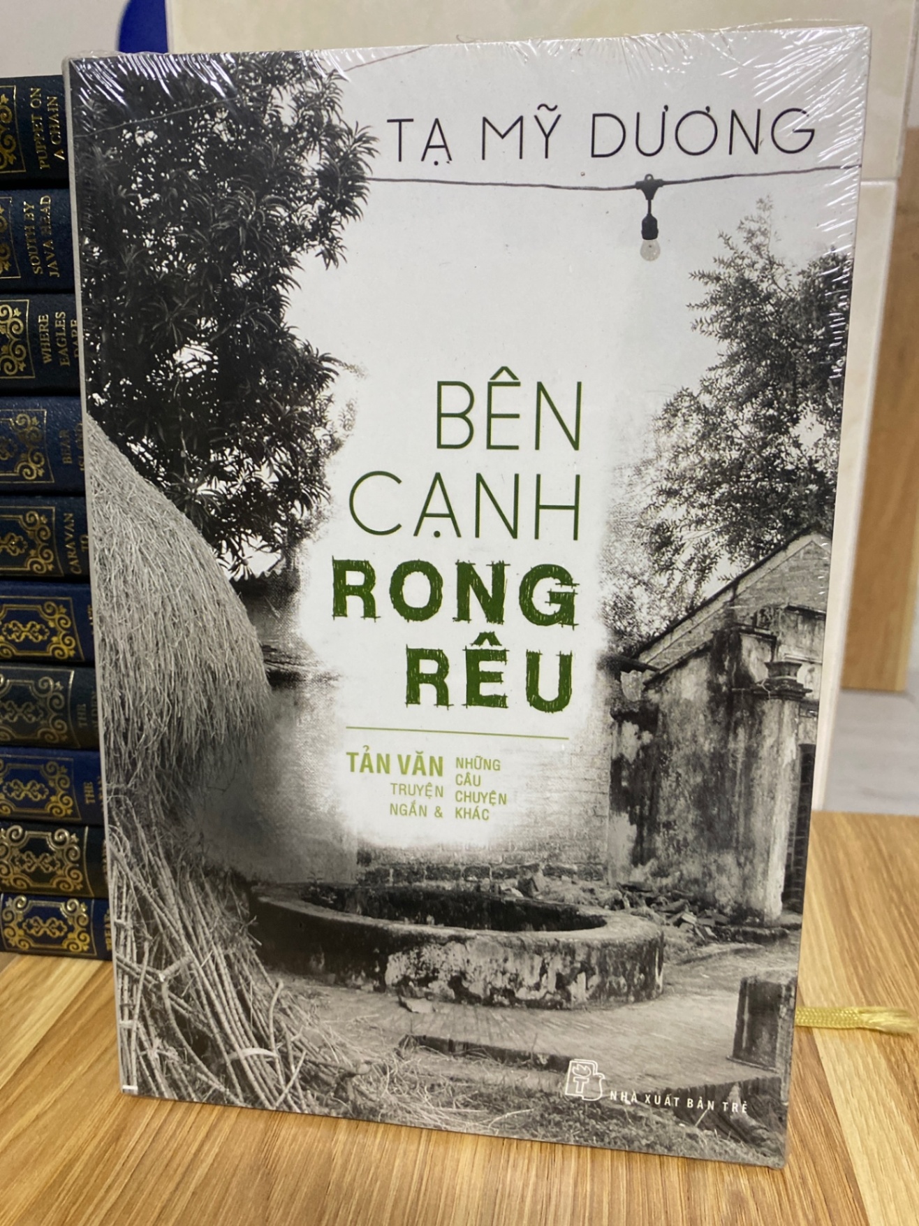 Bên cạnh rong rêu:tản văn,truyện ngắn,những câu chuyện khác- Tạ Mỹ Dương Sách văn học STB0302
