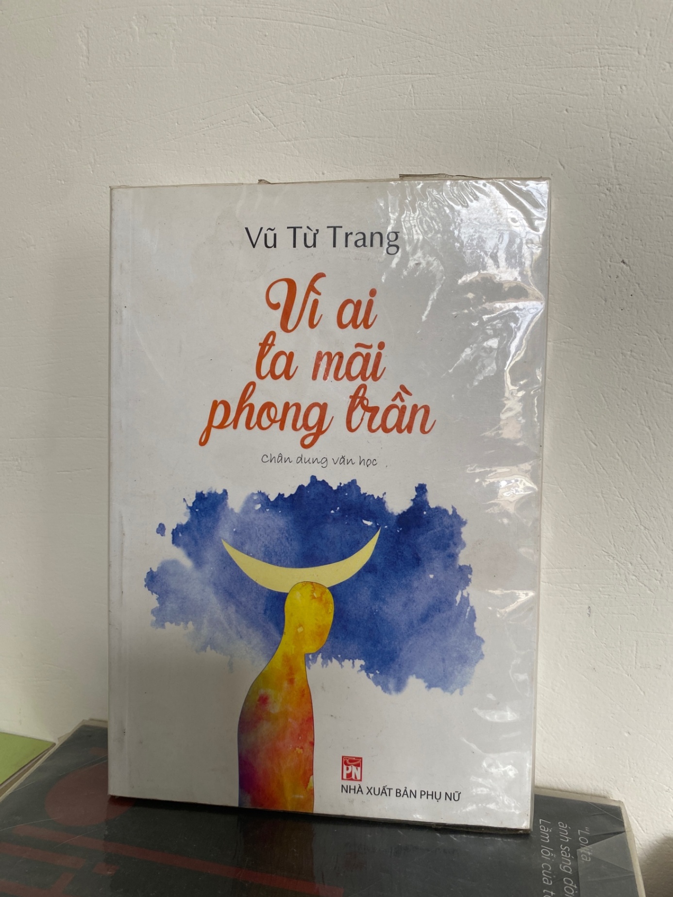 Vì ai ta mãi phong trần Sách văn học STB0302