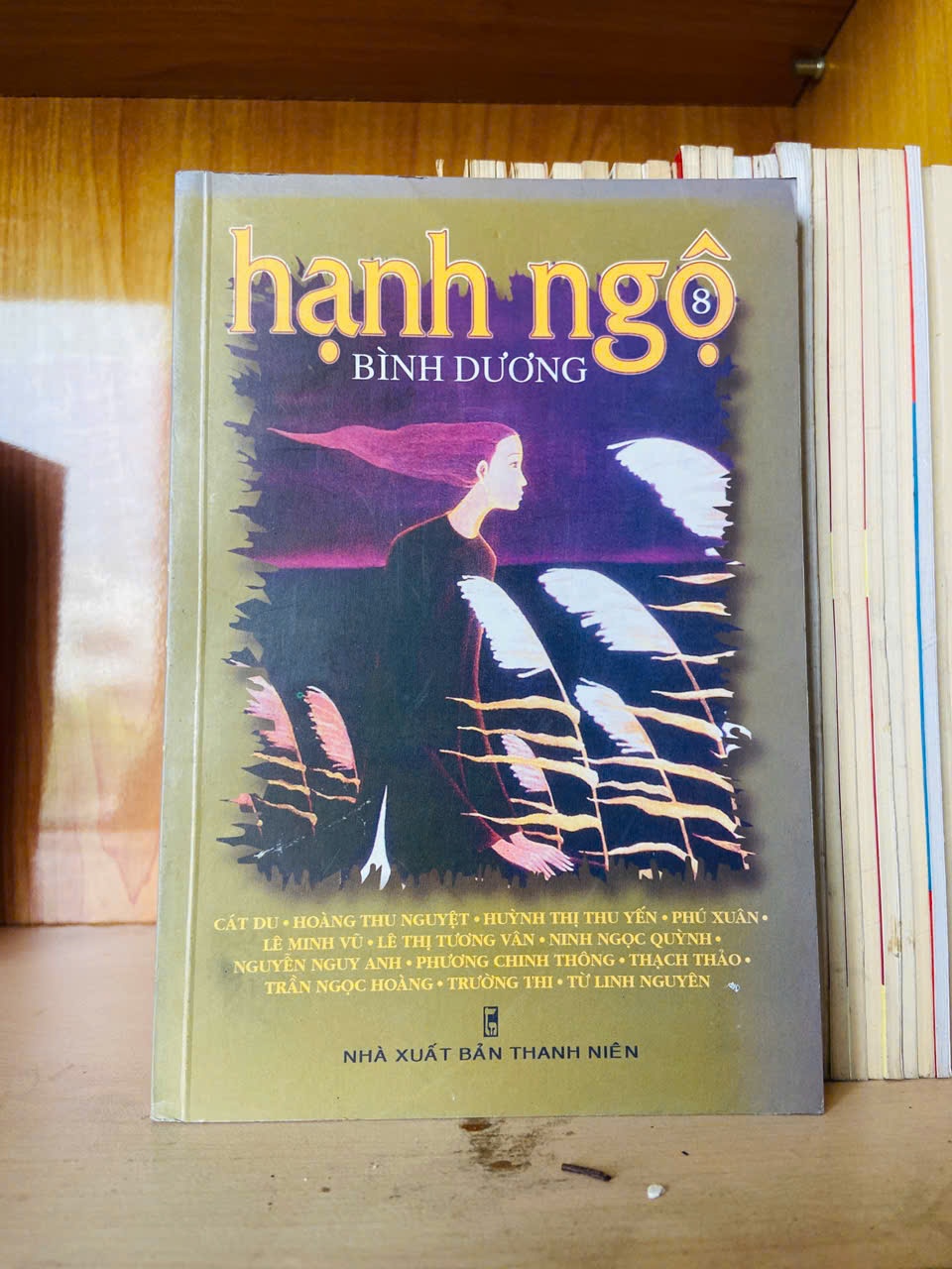 Hạnh ngộ 8 Sách văn học VAVO3101