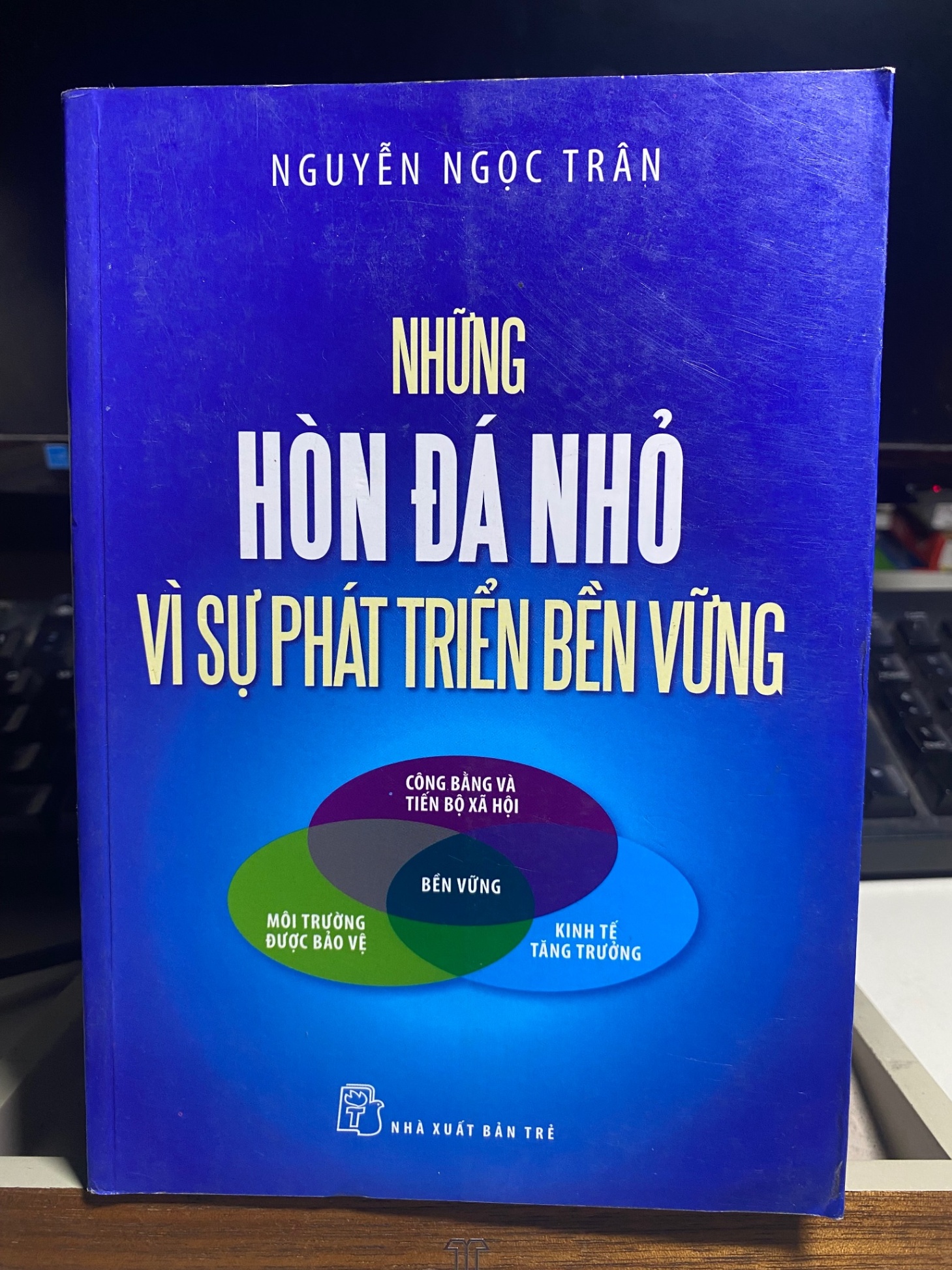 Những hòn đá nhỏ vì sự phát triển bền vững - Nguyễn Ngọc Trân Sách kinh tế - tài chính - chứng khoán STB0302
