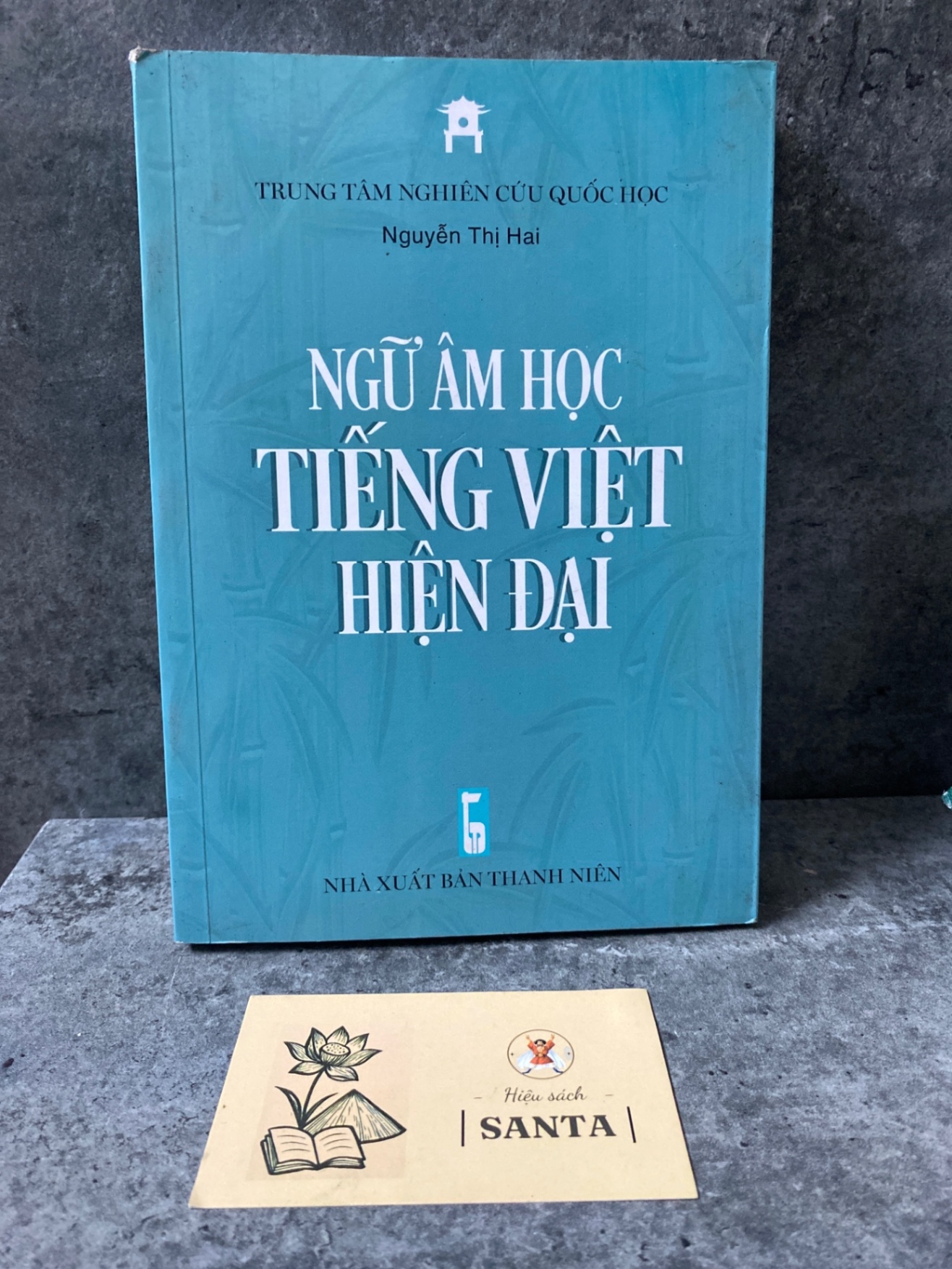 Ngữ âm học Tiếng Việt hiện đại- Nguyễn Thị Hai- Sách lưu kho mới 95% Sách văn học STB0302
