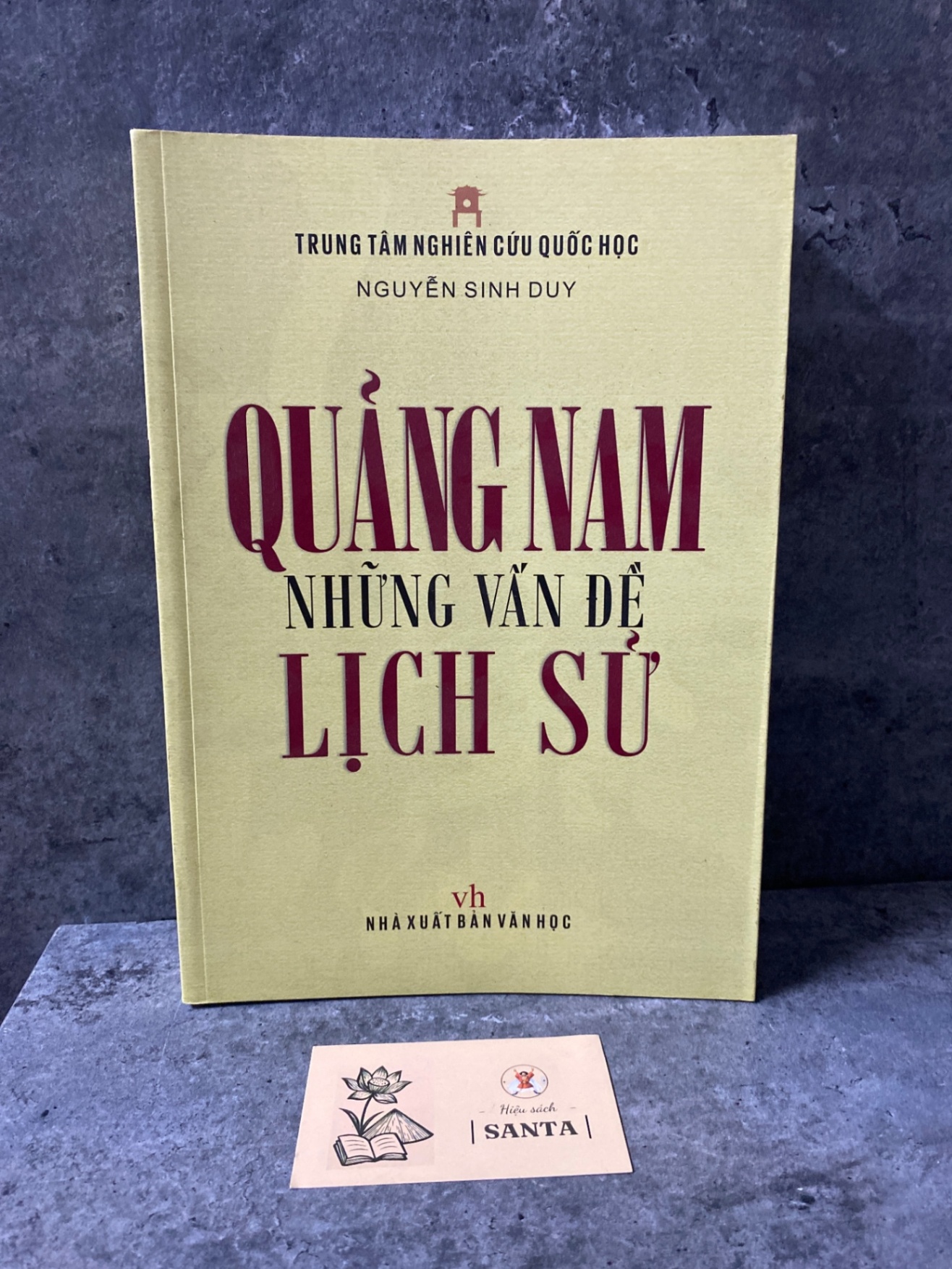 Quảng Nam những vấn đề lịch sử (bìa mềm) Sách lịch sử - triết học STB0302